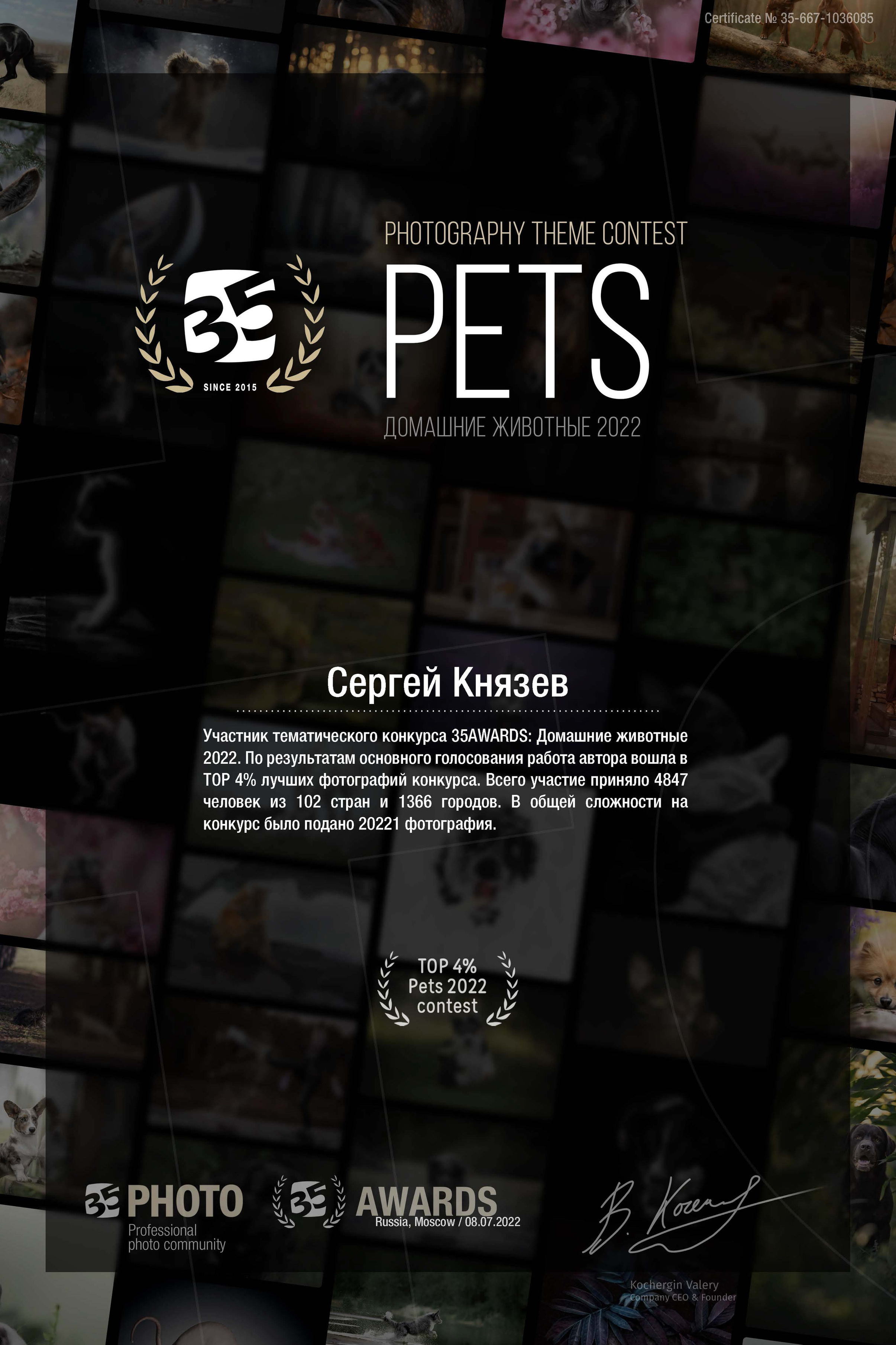 Дипломы за участия в фотоконкурсах. Фотограф Князев Сергей