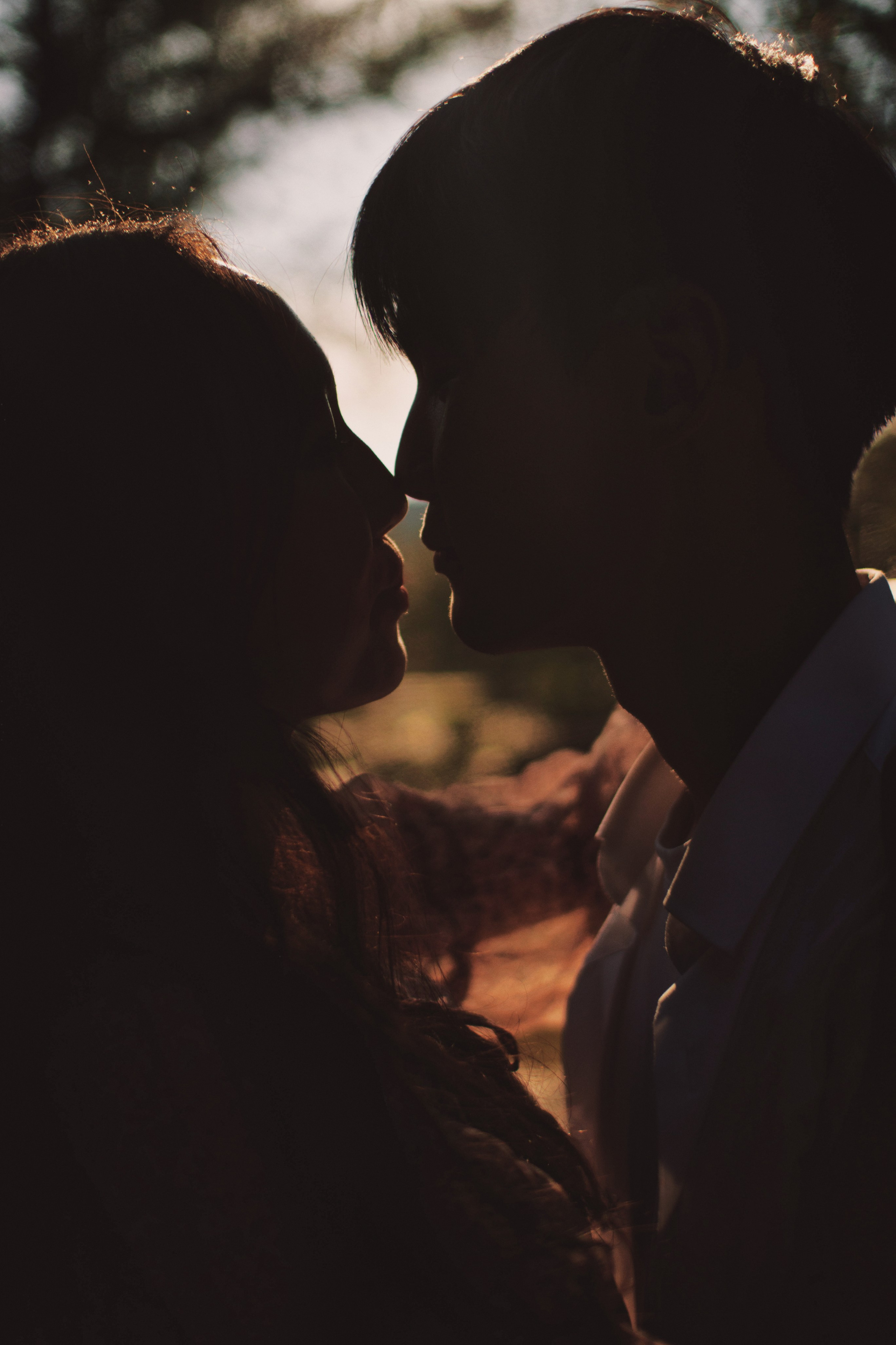 Смотрят друг на друга