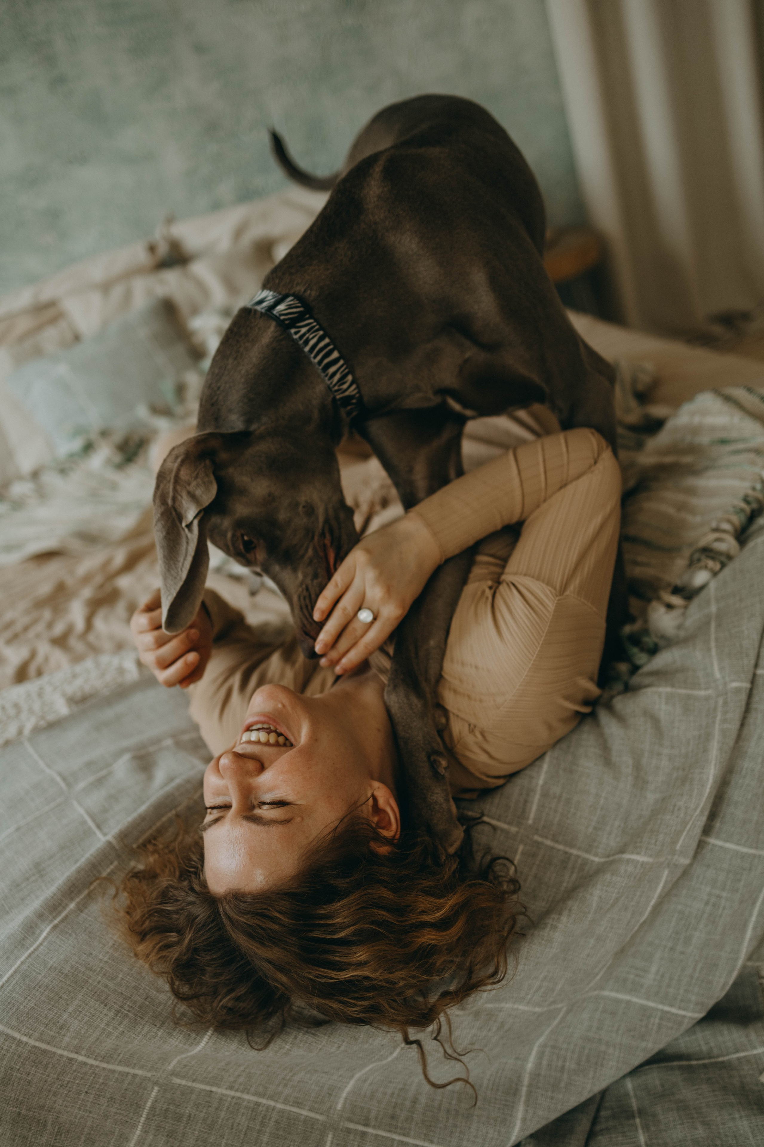 Обо мне. Фотограф-анималист в Екатеринбурге | Кристина