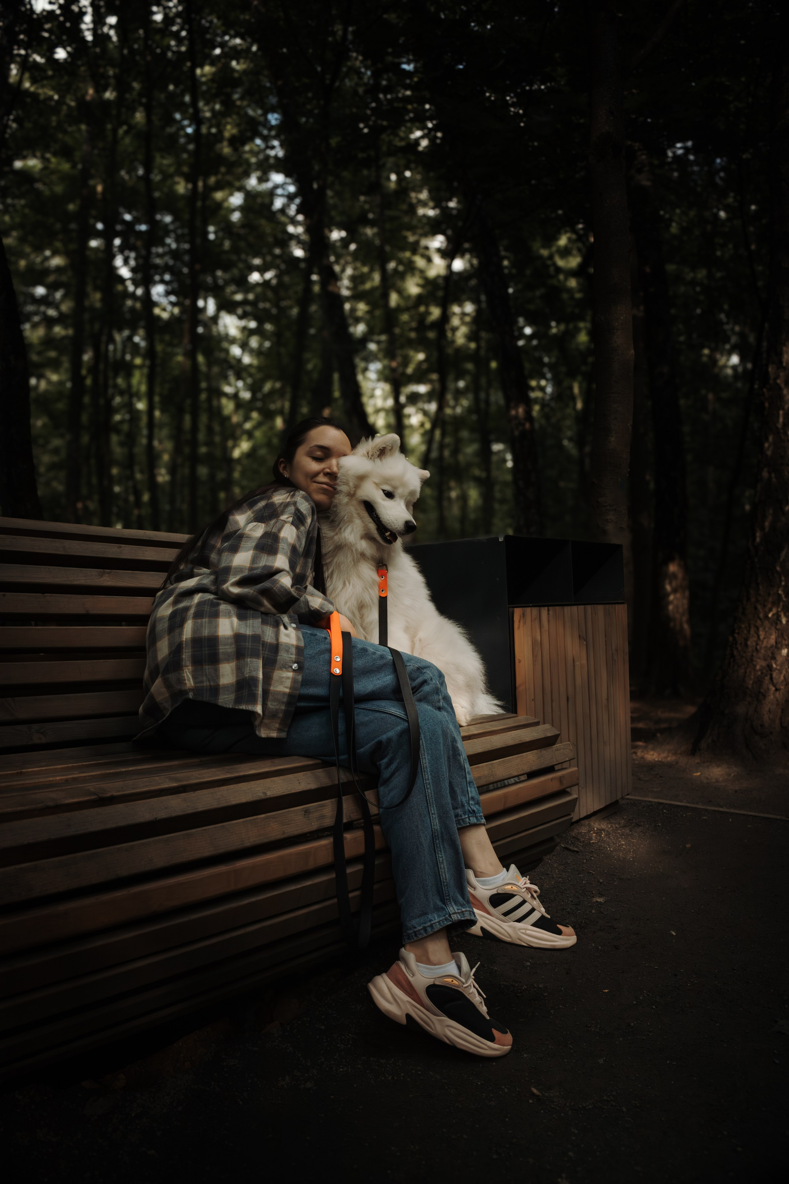 Девушка сидит на лавочке со своей собакой