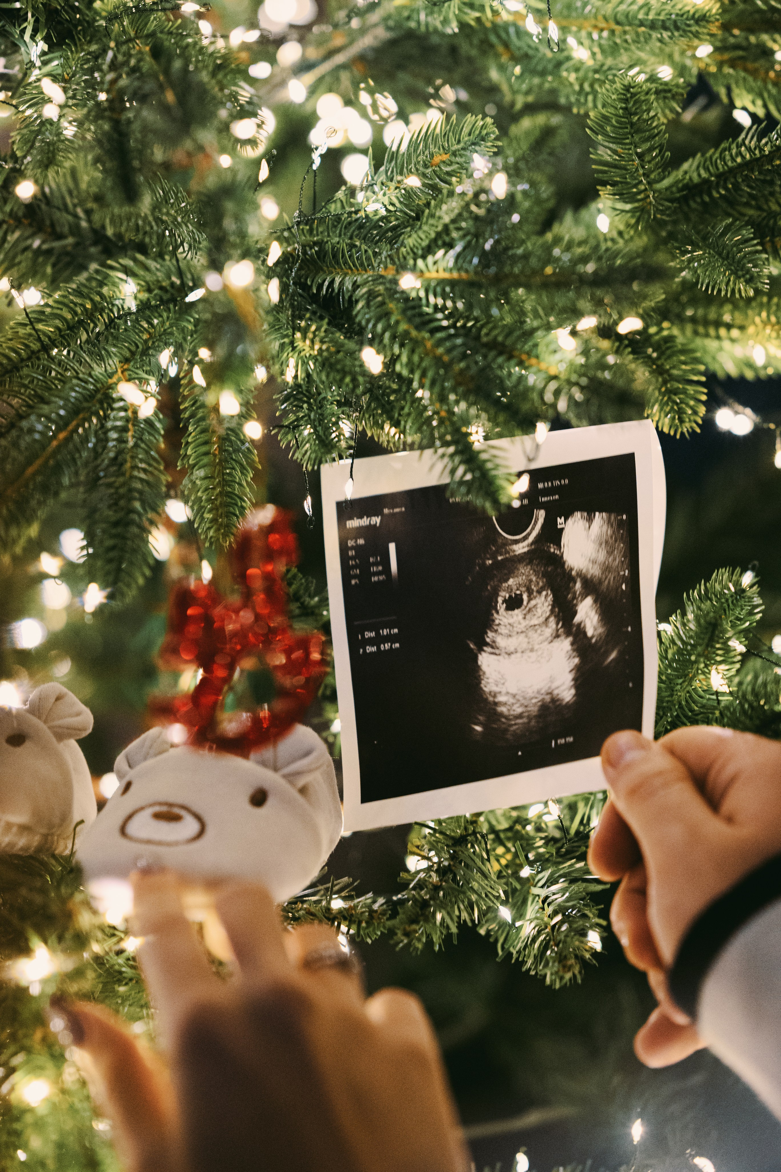 Фотограф Новая Москва