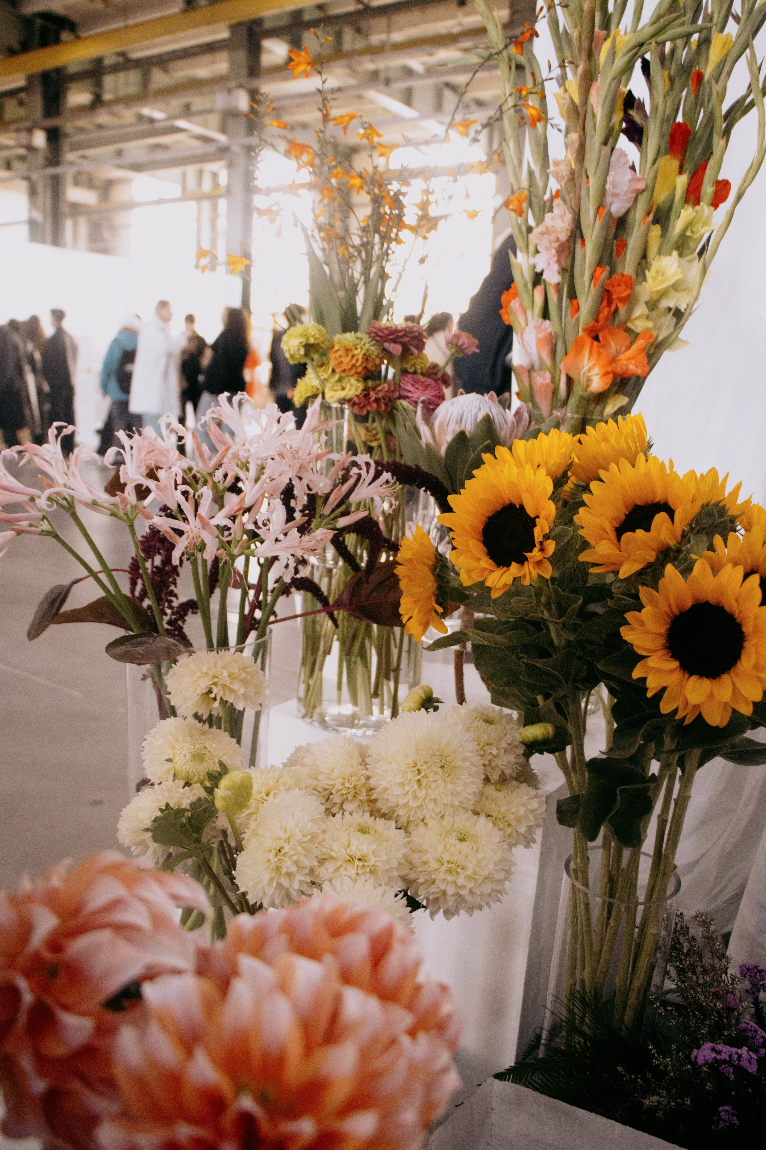 Антон тут рядом. Фотограф в Санкт-Петербурге Александра Спиридонова