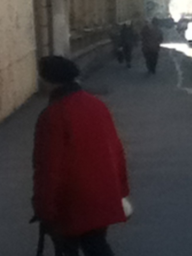 Художник. Фотограф