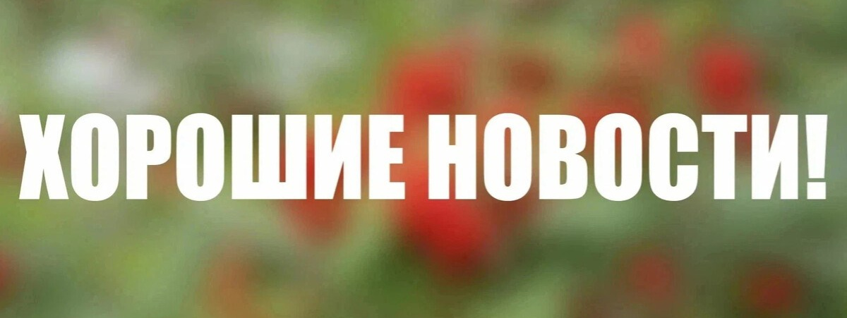 Дом Шрёдера. О нас. Дом Шрёдера