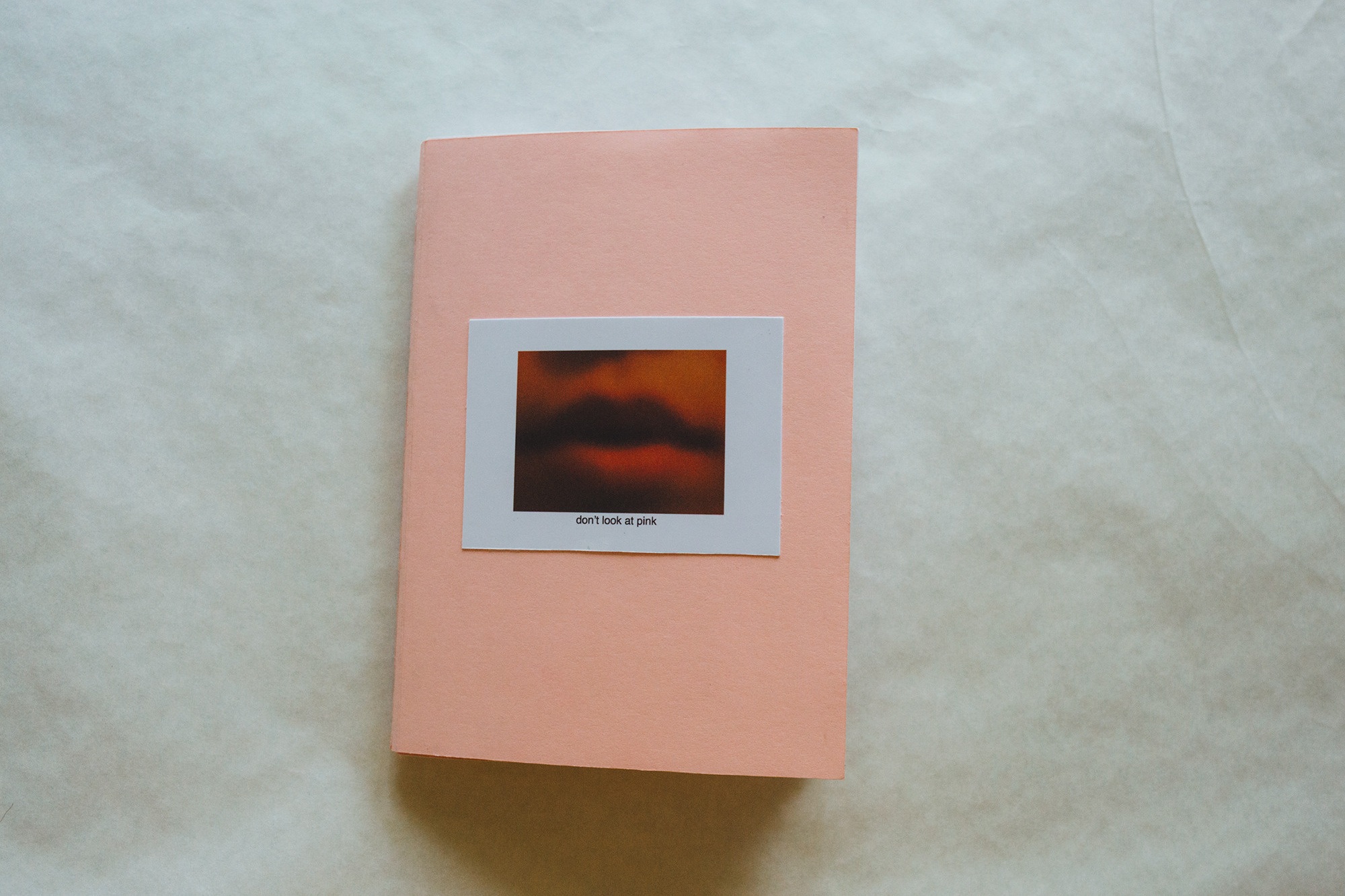 Не смотри на розовый. Художница Ирина Дмитровская