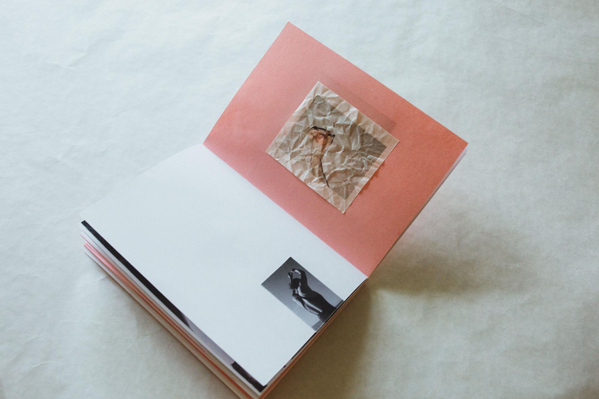 Не смотри на розовый. Художница Ирина Дмитровская