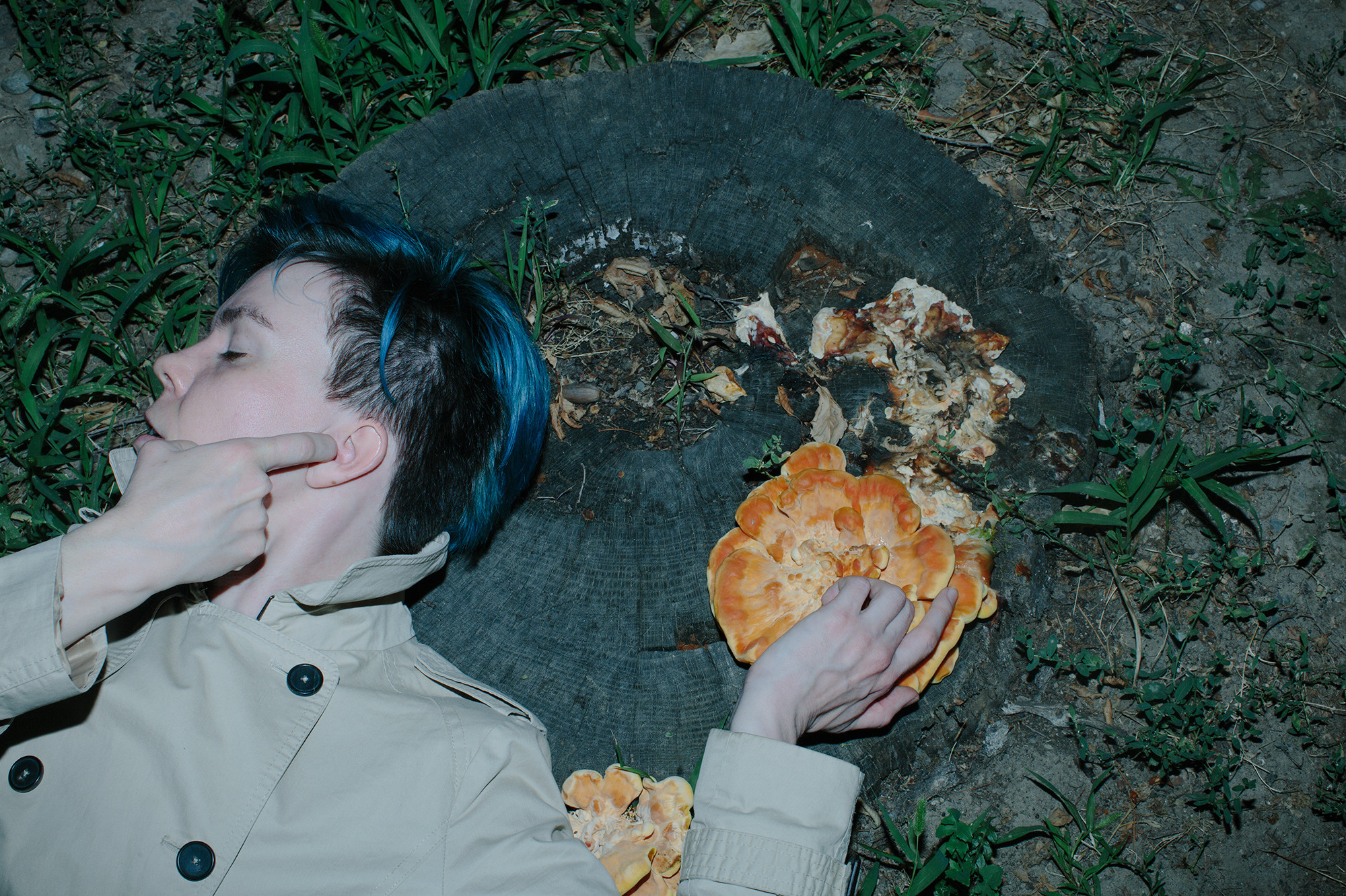 Контакты. Художница Ирина Дмитровская