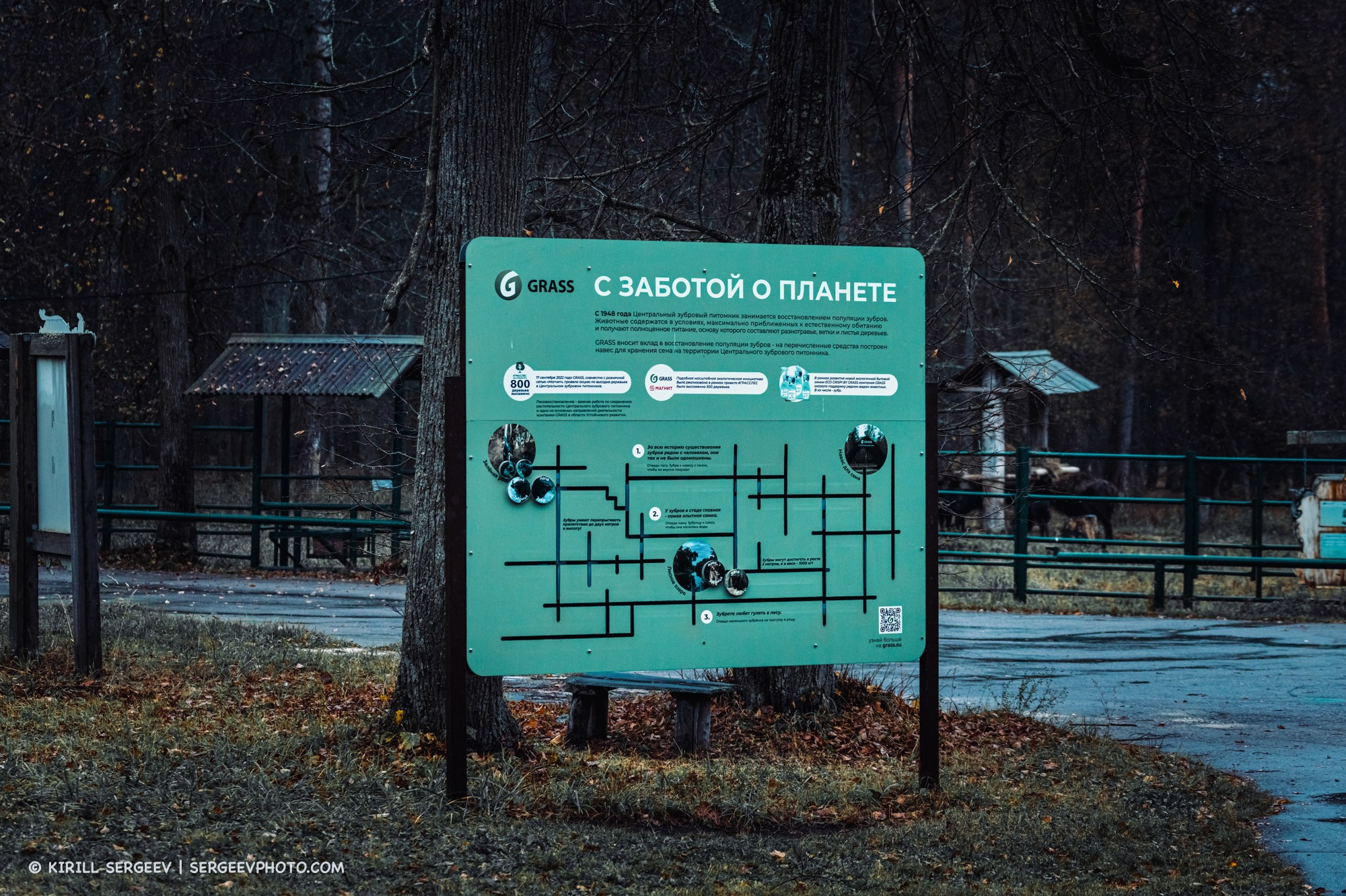 Prioksko-Terrasny Nature Reserve. Moscow Region