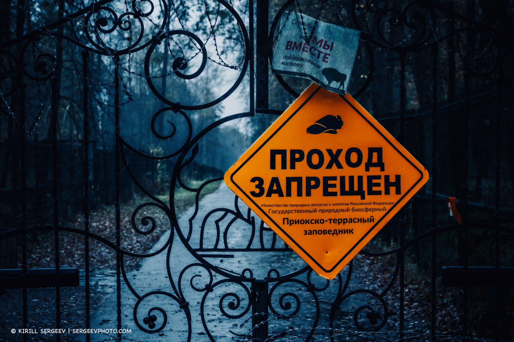 Prioksko-Terrasny Nature Reserve. Moscow Region