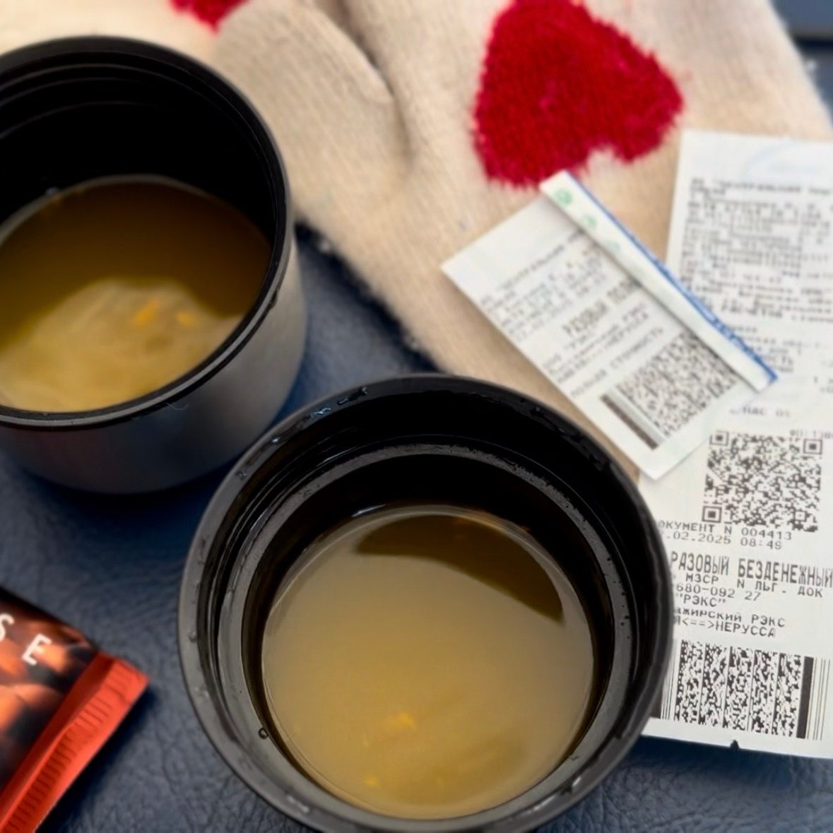 Брянский лес. «Книжка с картинками» Фотограф Наталья Цыбина