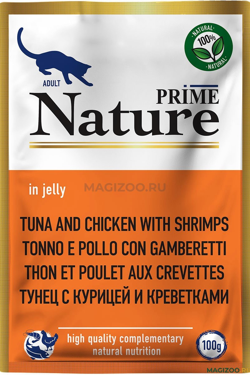 Котёнок американской бурмы. Las Burmas — питомник американской бурмы традиционных линий