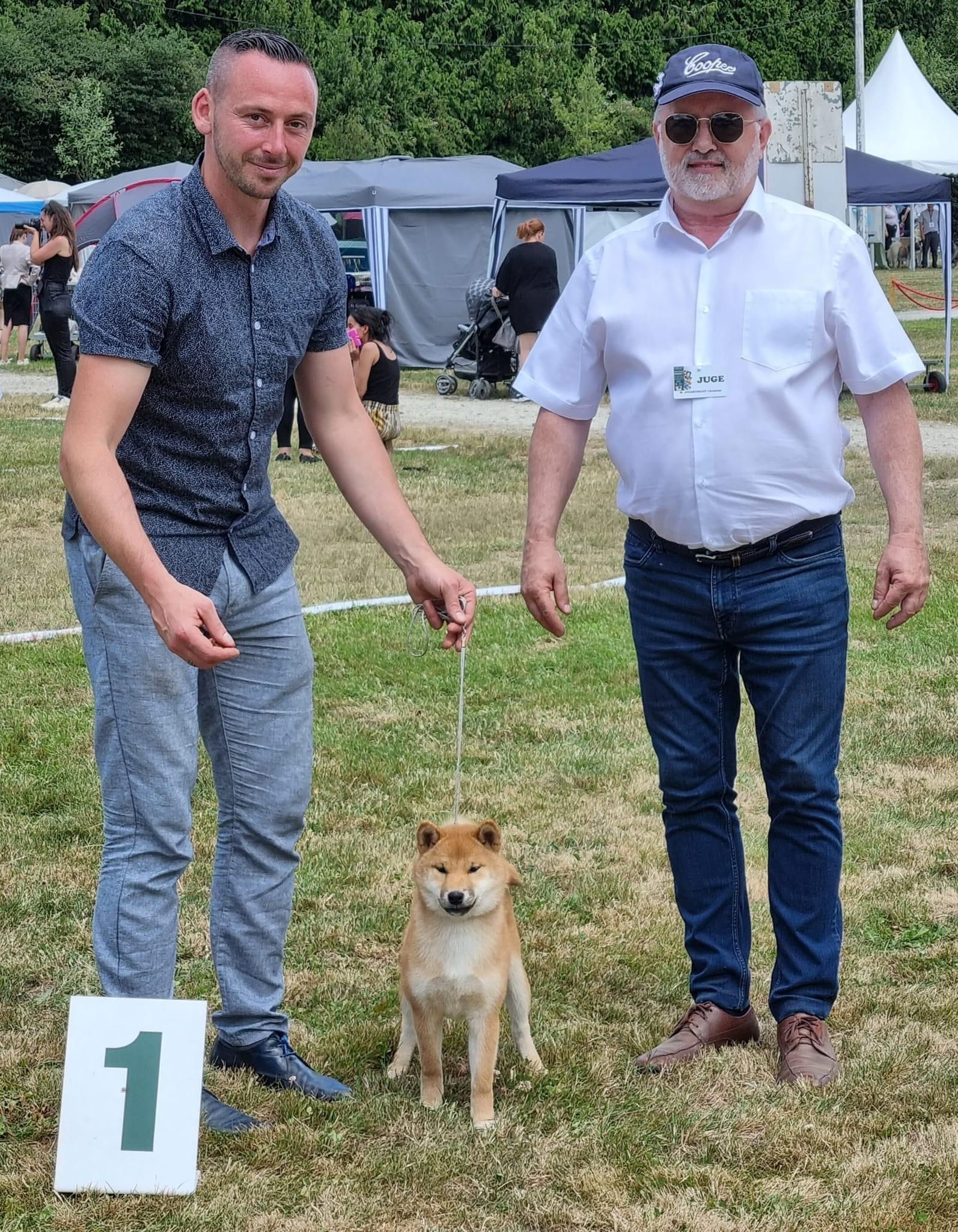 2022. SHIOMARU Shiba and Akita Inu Kennel
