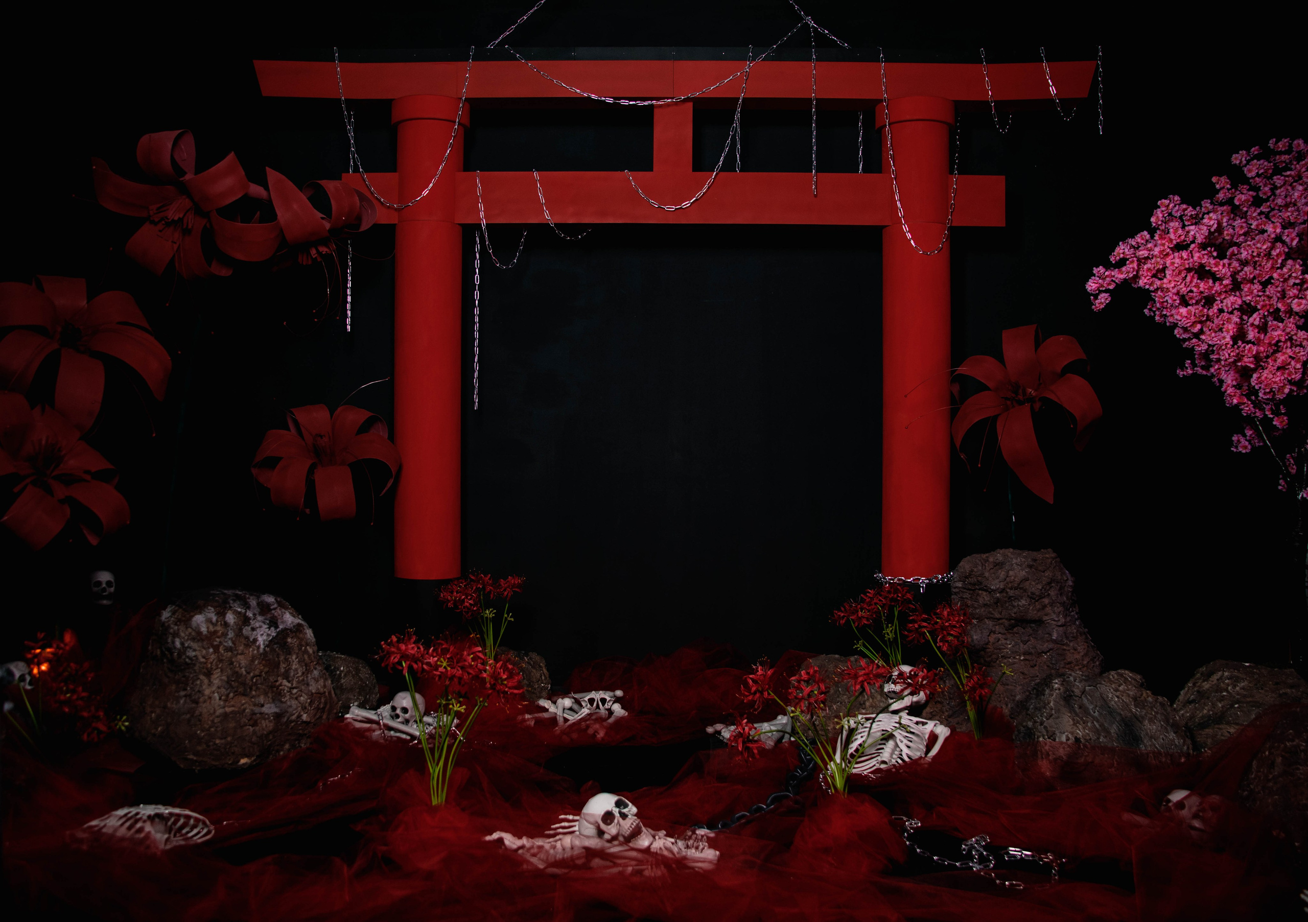 Наши залы. Фотостудия Ikidashi. Фотосессии в студии под ключ. Москва. Семейные и детские фотосессии