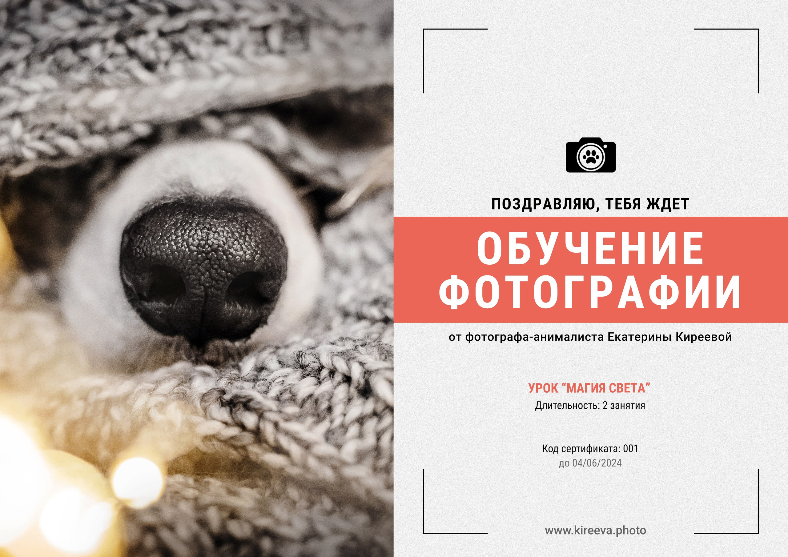 10 идей, что подарить фотографу