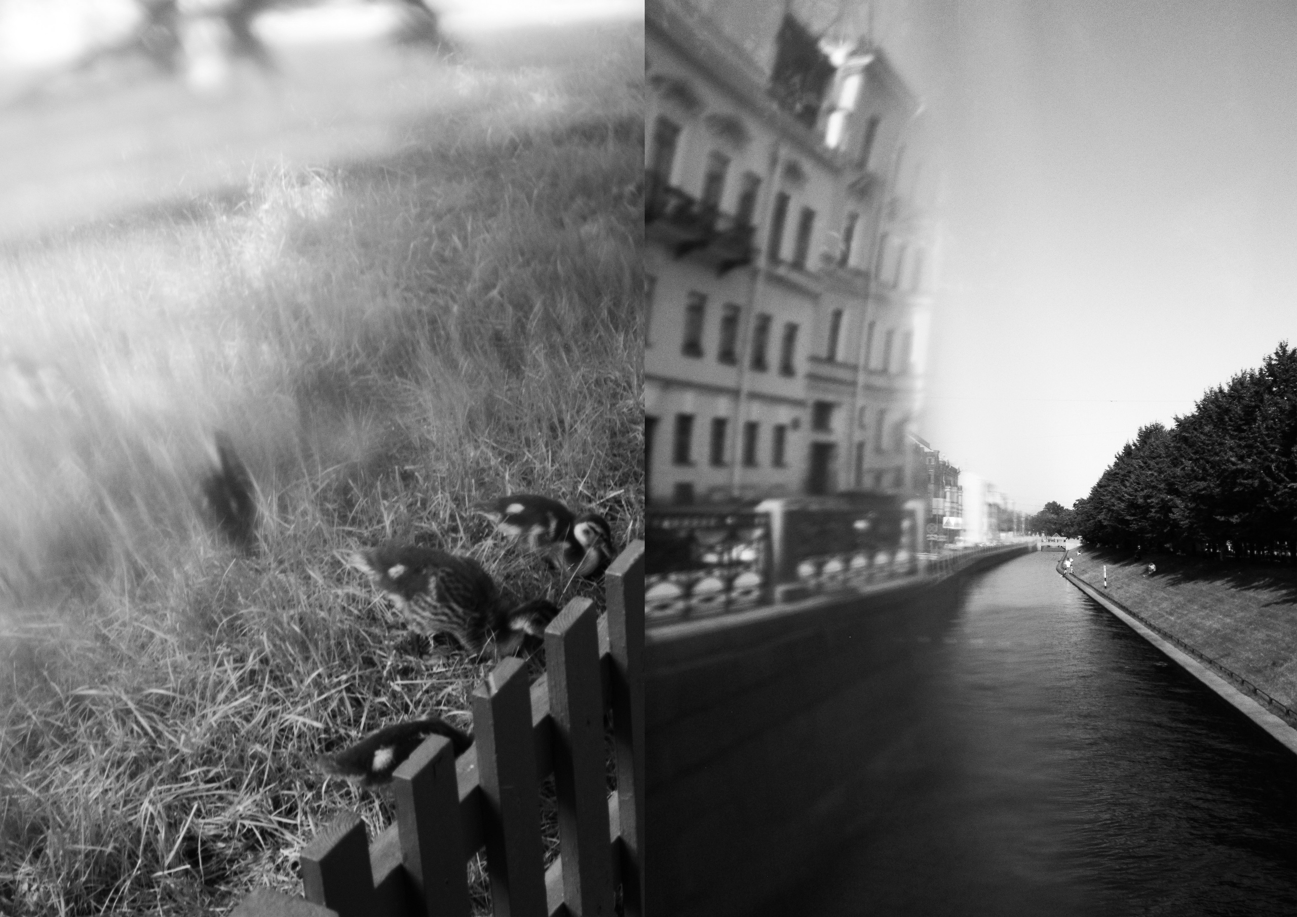 Точка перехода. MEEUW Фотограф Адигамова Юлия