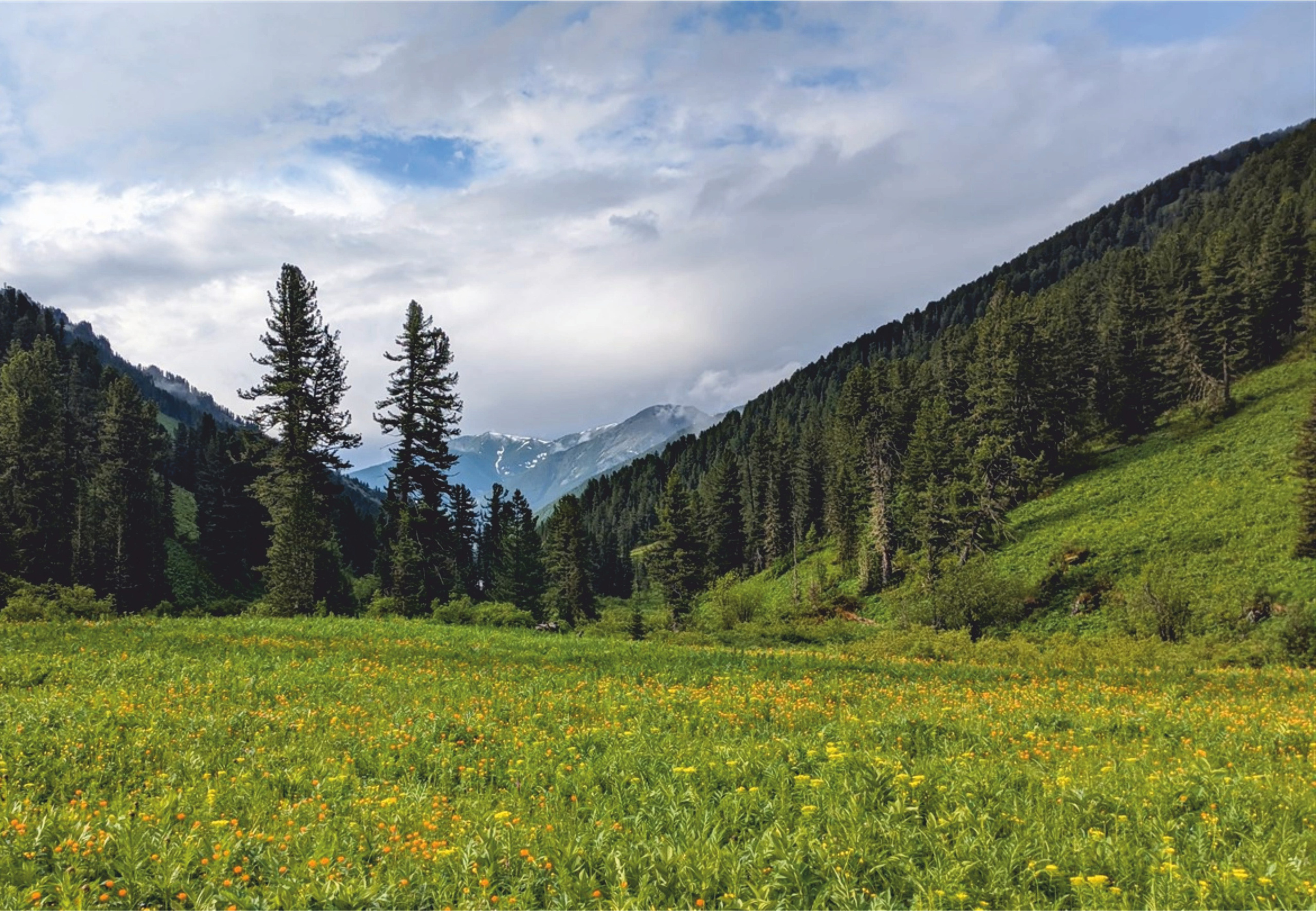 Урлу-Аспак - Каракол. Банк земельных участков Алтая