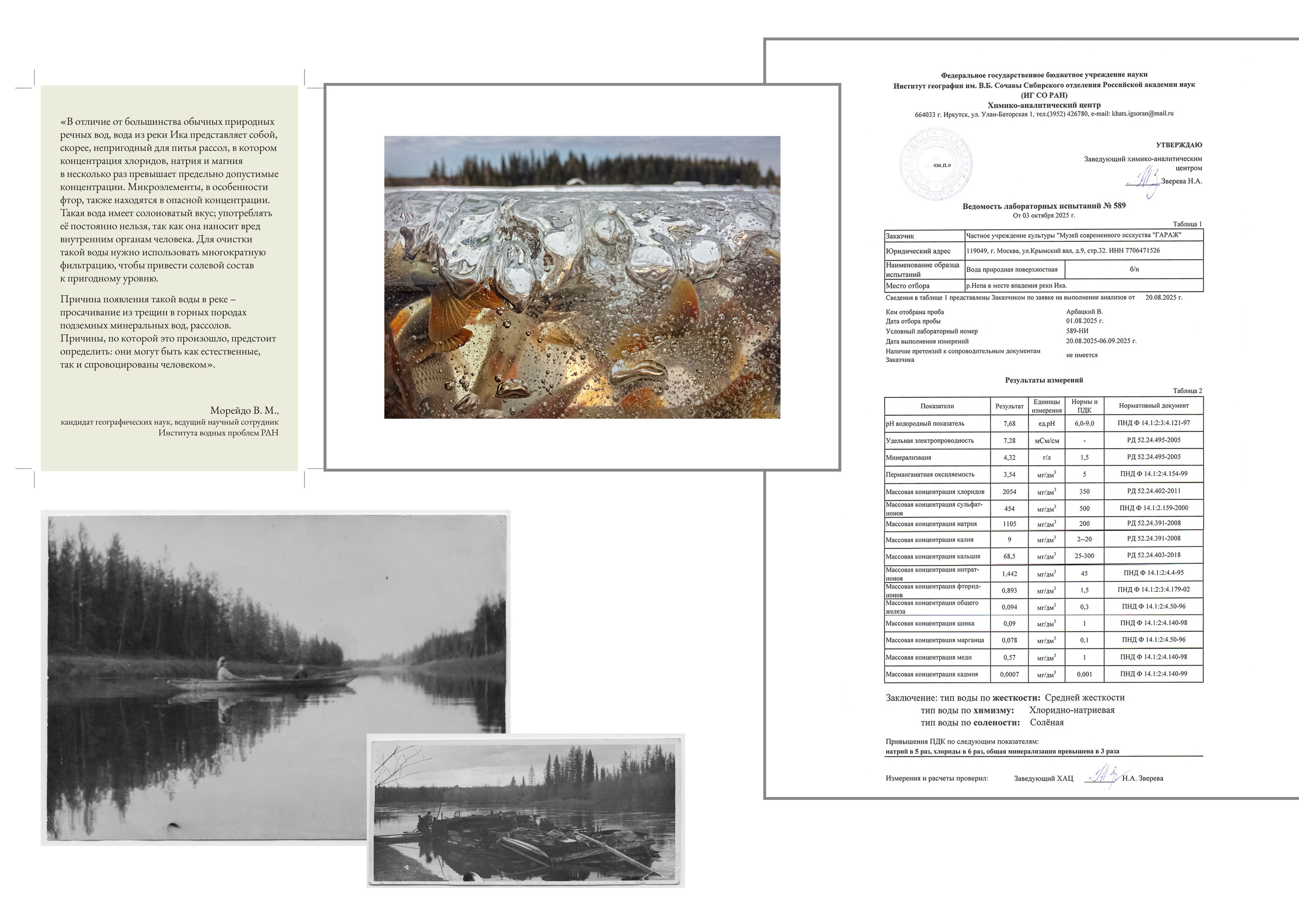 Наставничество и менторство. Elena Anosova is an award-winning visual artist