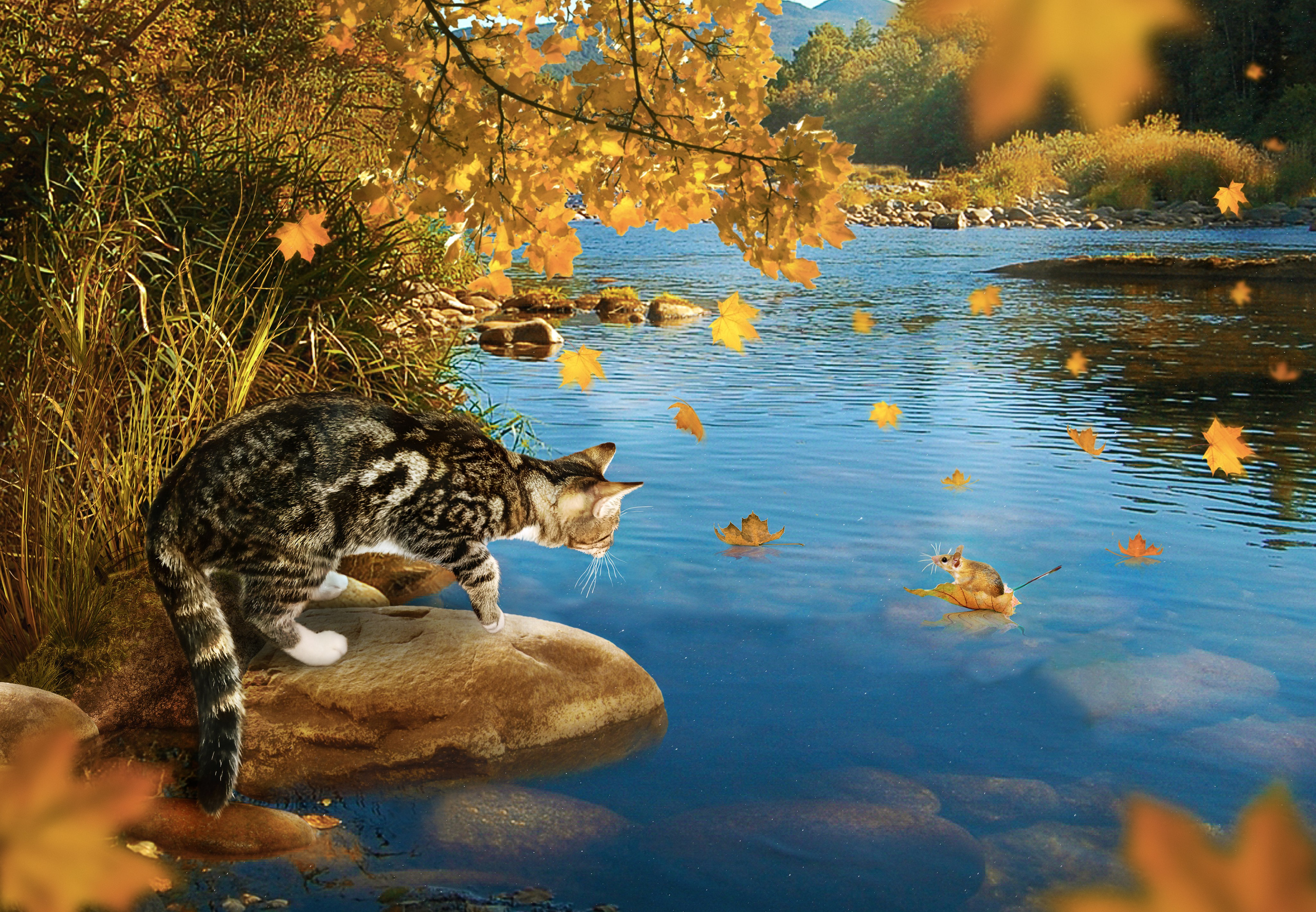 Фотоарт. Качественная ретушь фотографий Вера Сартакова