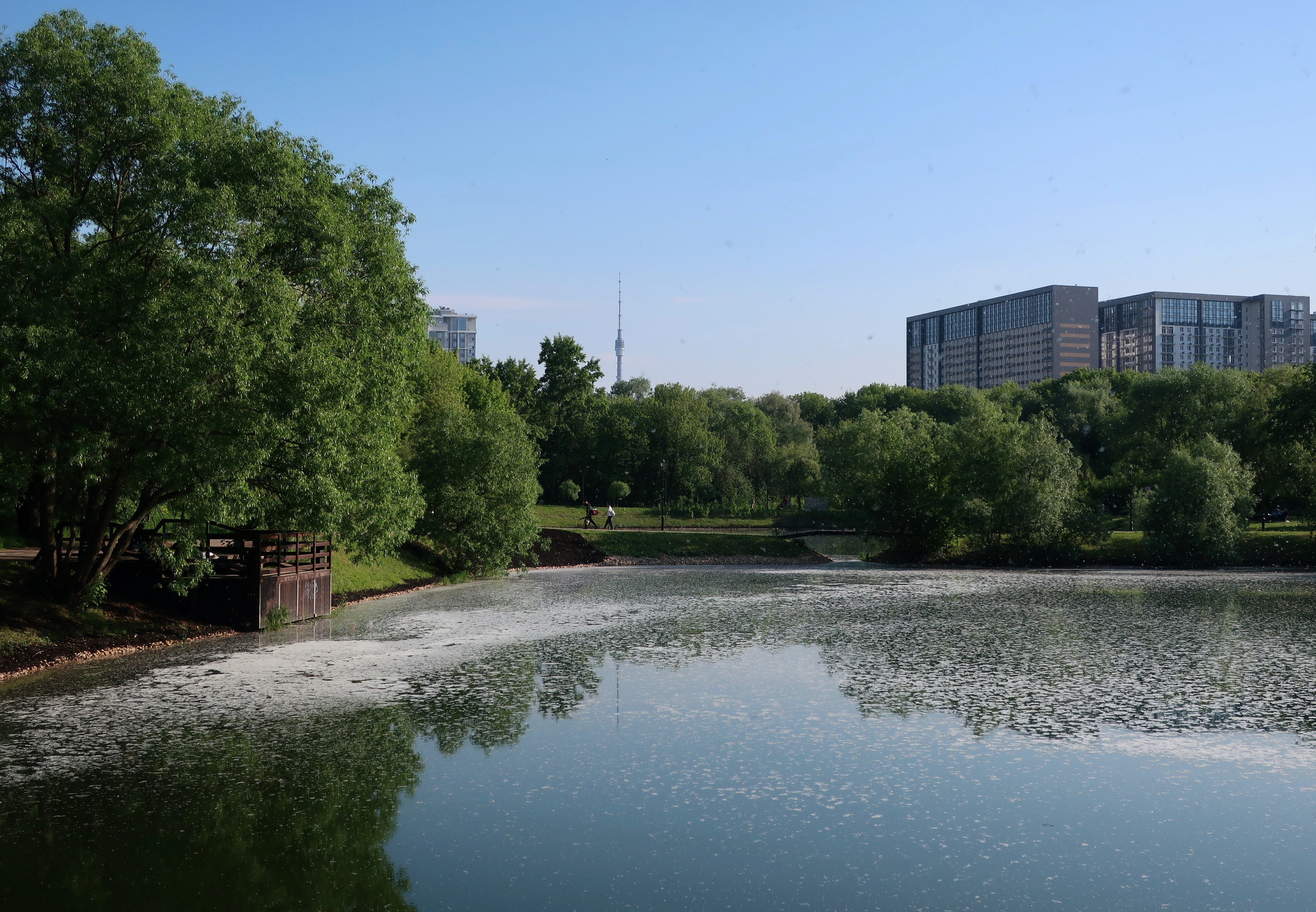 Парки Яуза, Свиблово и Свибловские пруды. Проект «Фотокладовка»: блог уличной фотографии в формате street photo