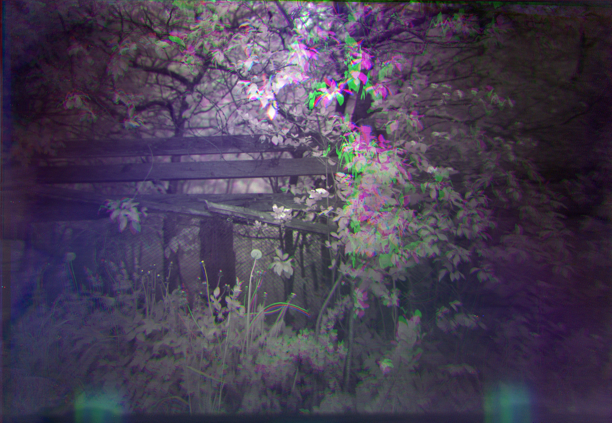 ДРЕЙФ — 26 маят 2025