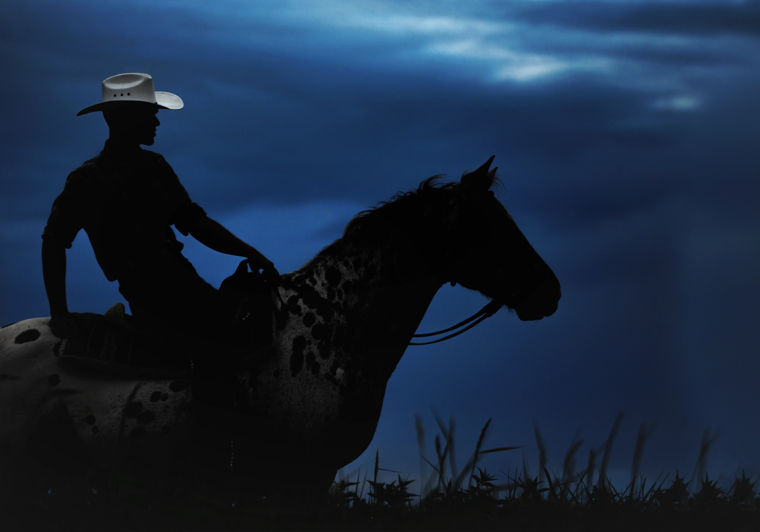 Мои достижения. Фотограф-анималист Юлия Зубкова