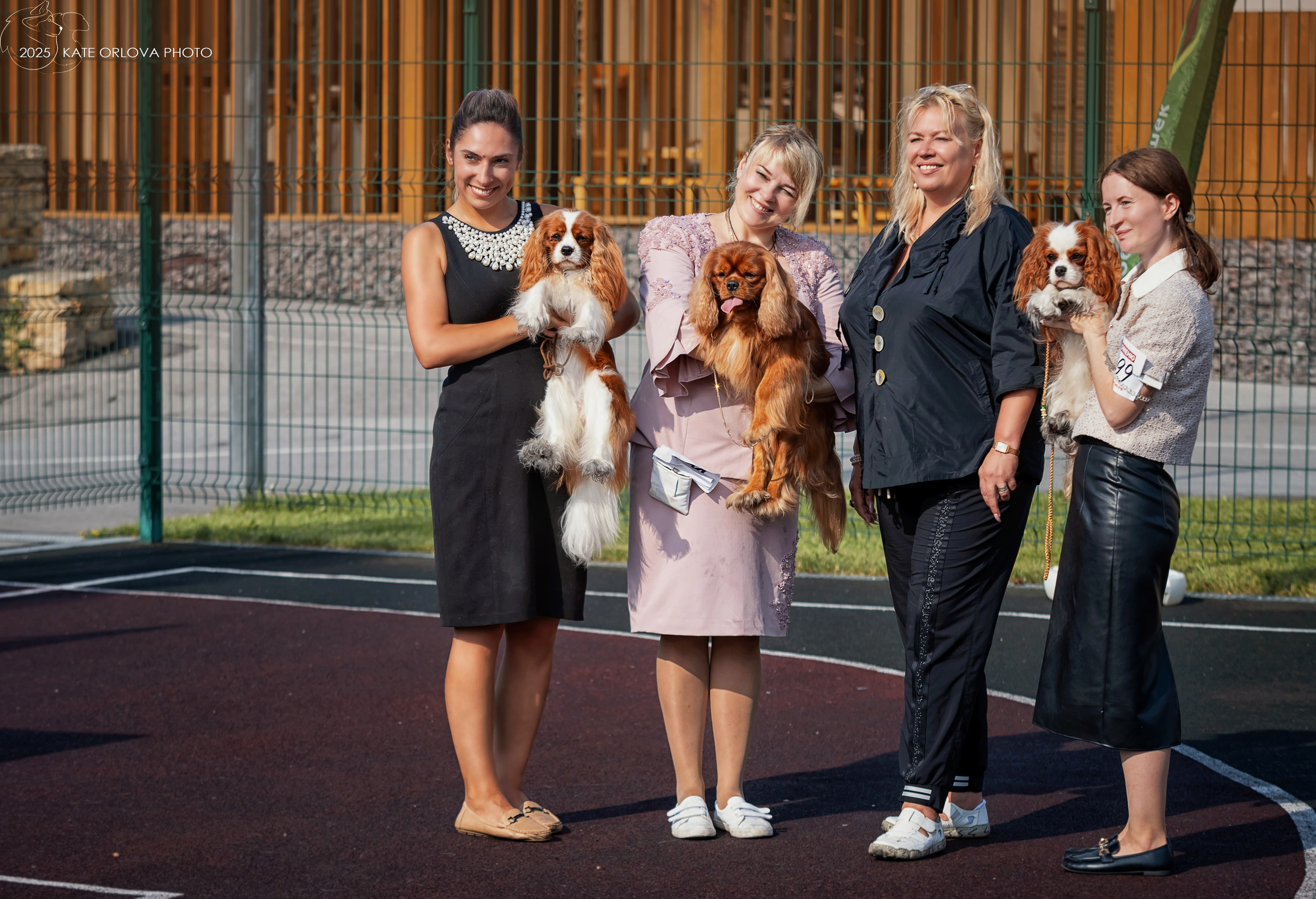 Выставки. Питомник кавалер кинг чарльз спаниелей