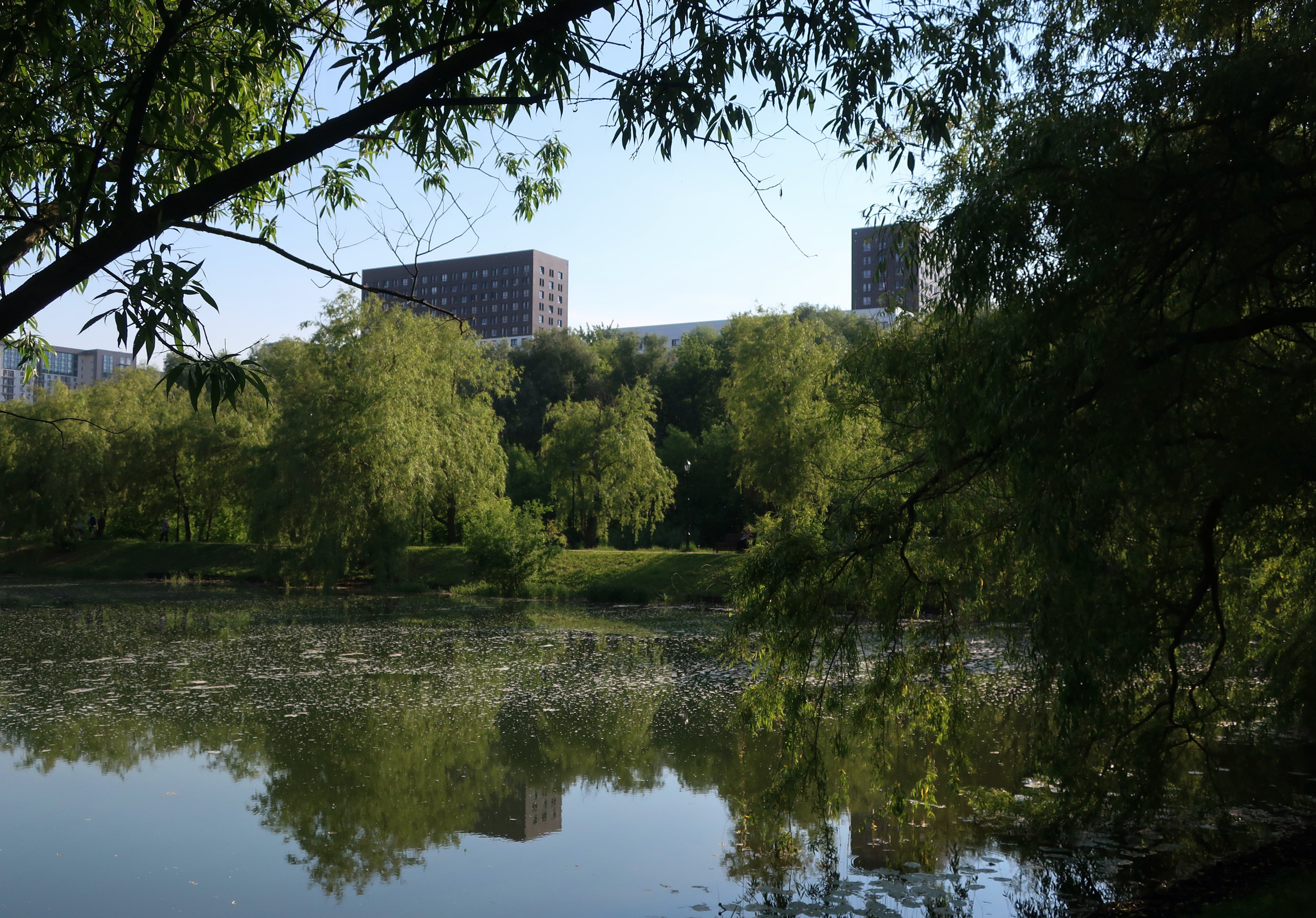 Парки Яуза, Свиблово и Свибловские пруды. Проект «Фотокладовка»: блог уличной фотографии в формате street photo