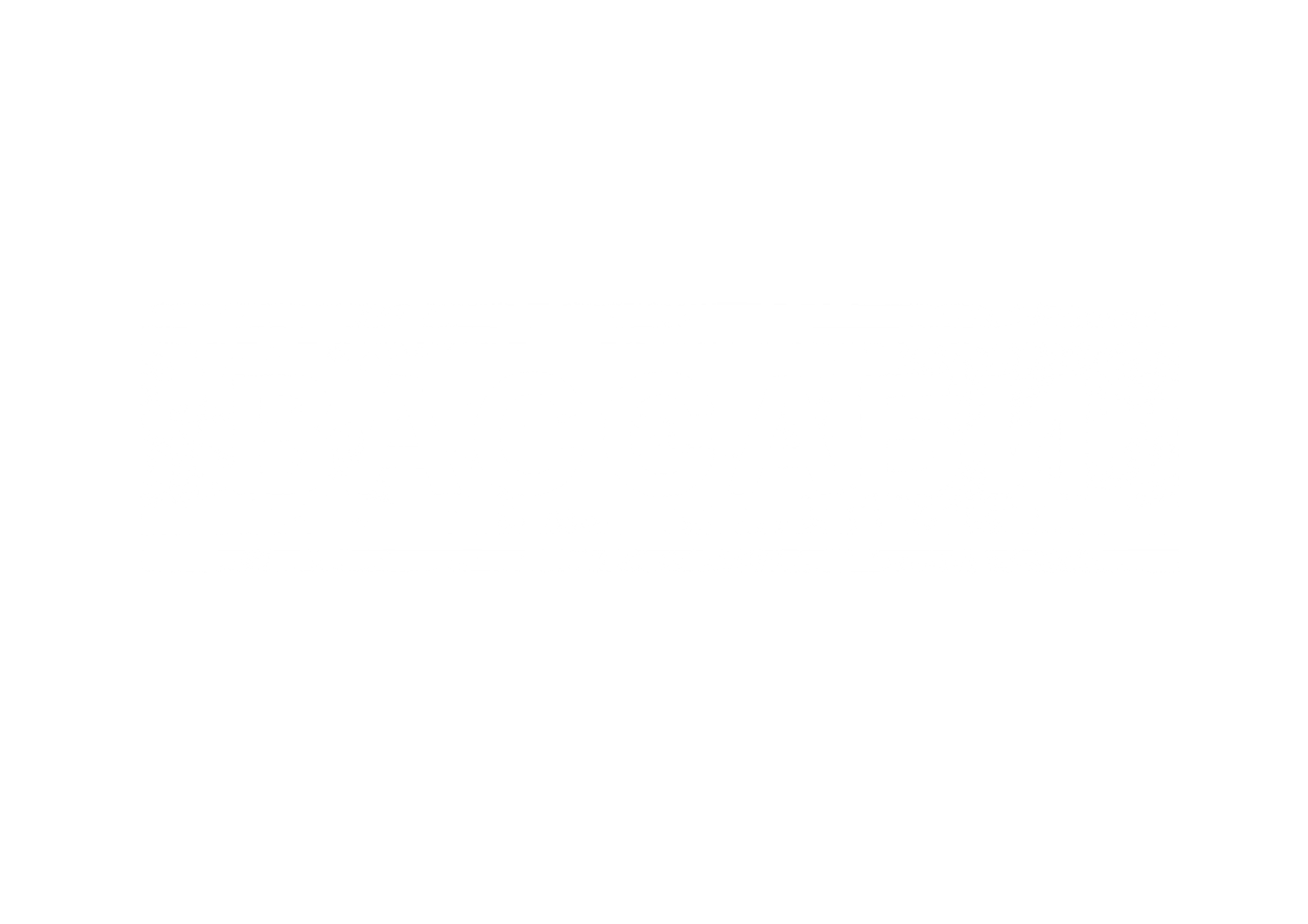 ВАССАБИ. Донеал Скнарь — концертный фотограф