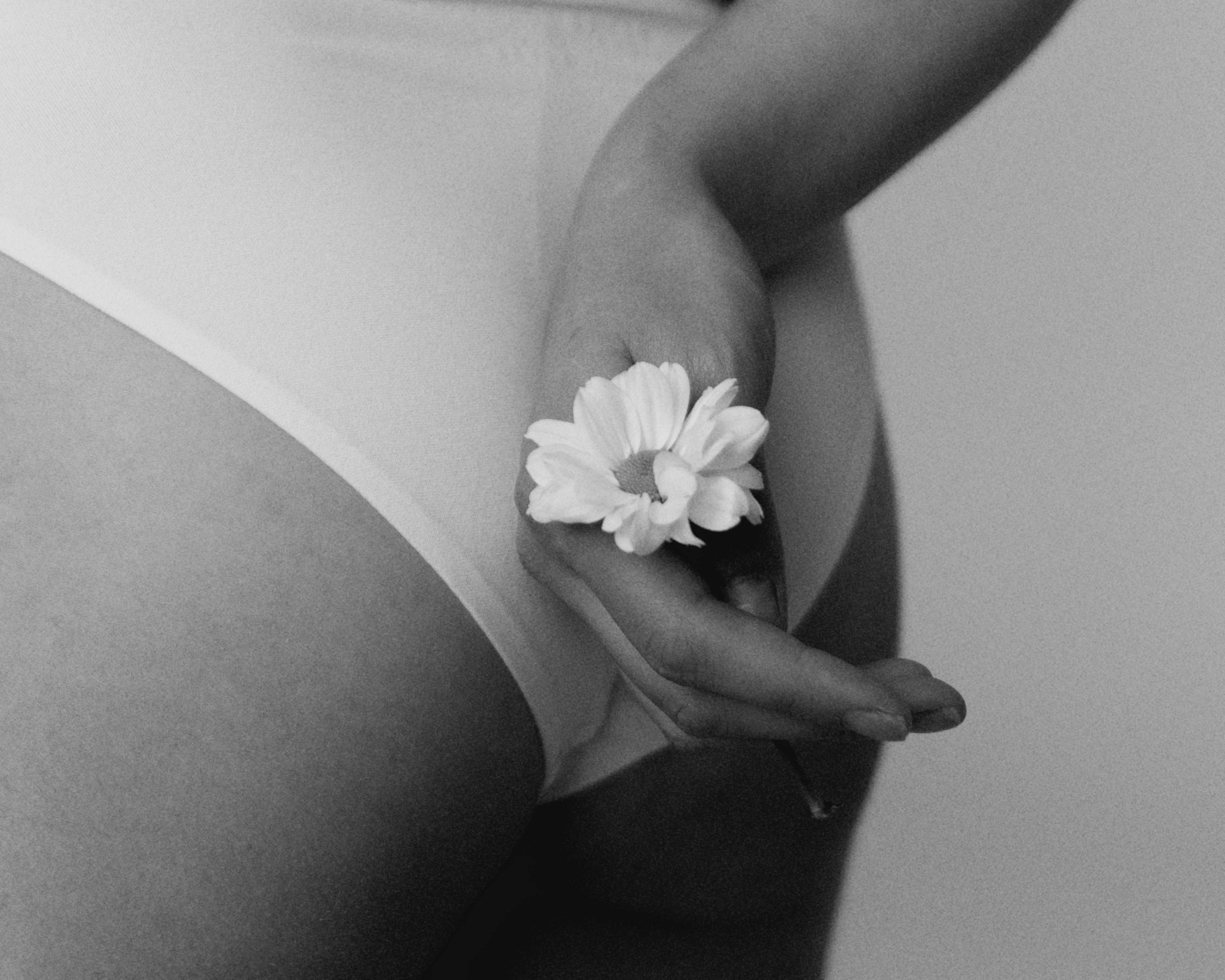 Price. Sofia Syabitova