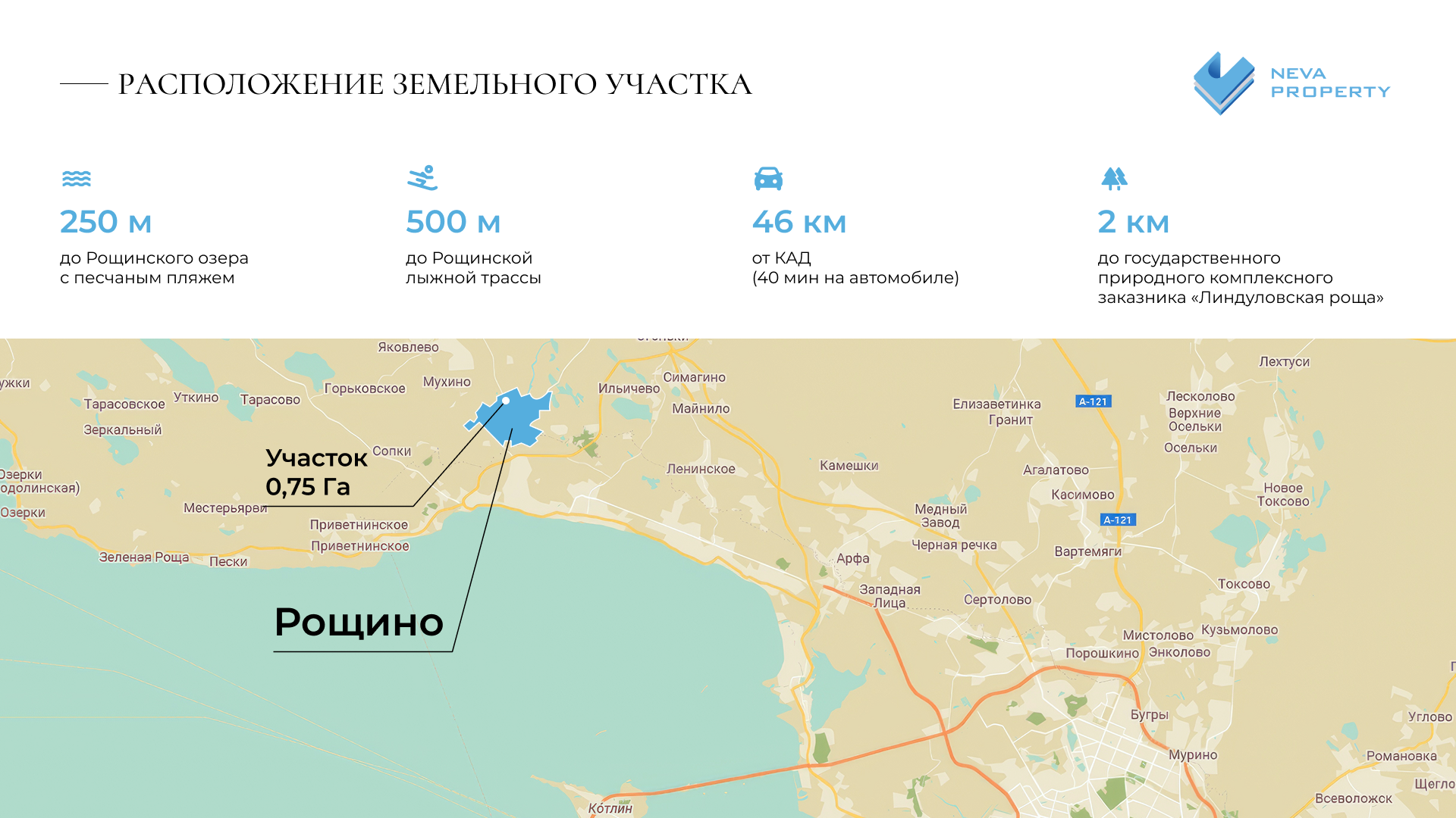 Инфографика/Дизайн. Студия визуального контента в Санкт-Петербурге и Москве