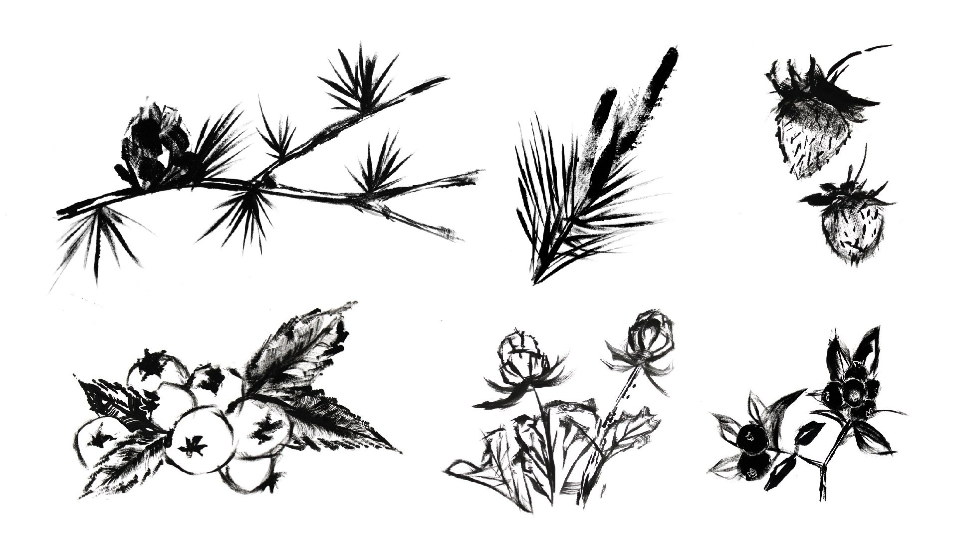 Серия этикеток “Таёжный вкус”