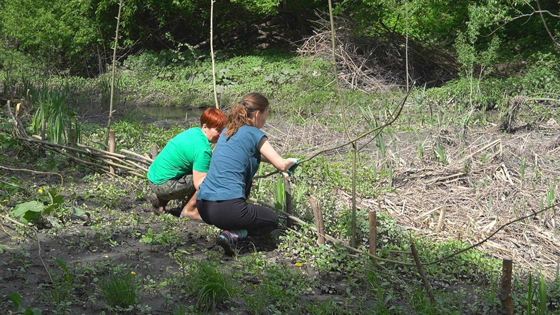 Субботники в Городищенском логу