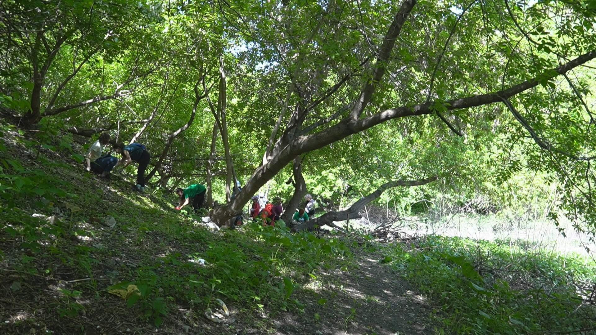 Субботники в Городищенском логу