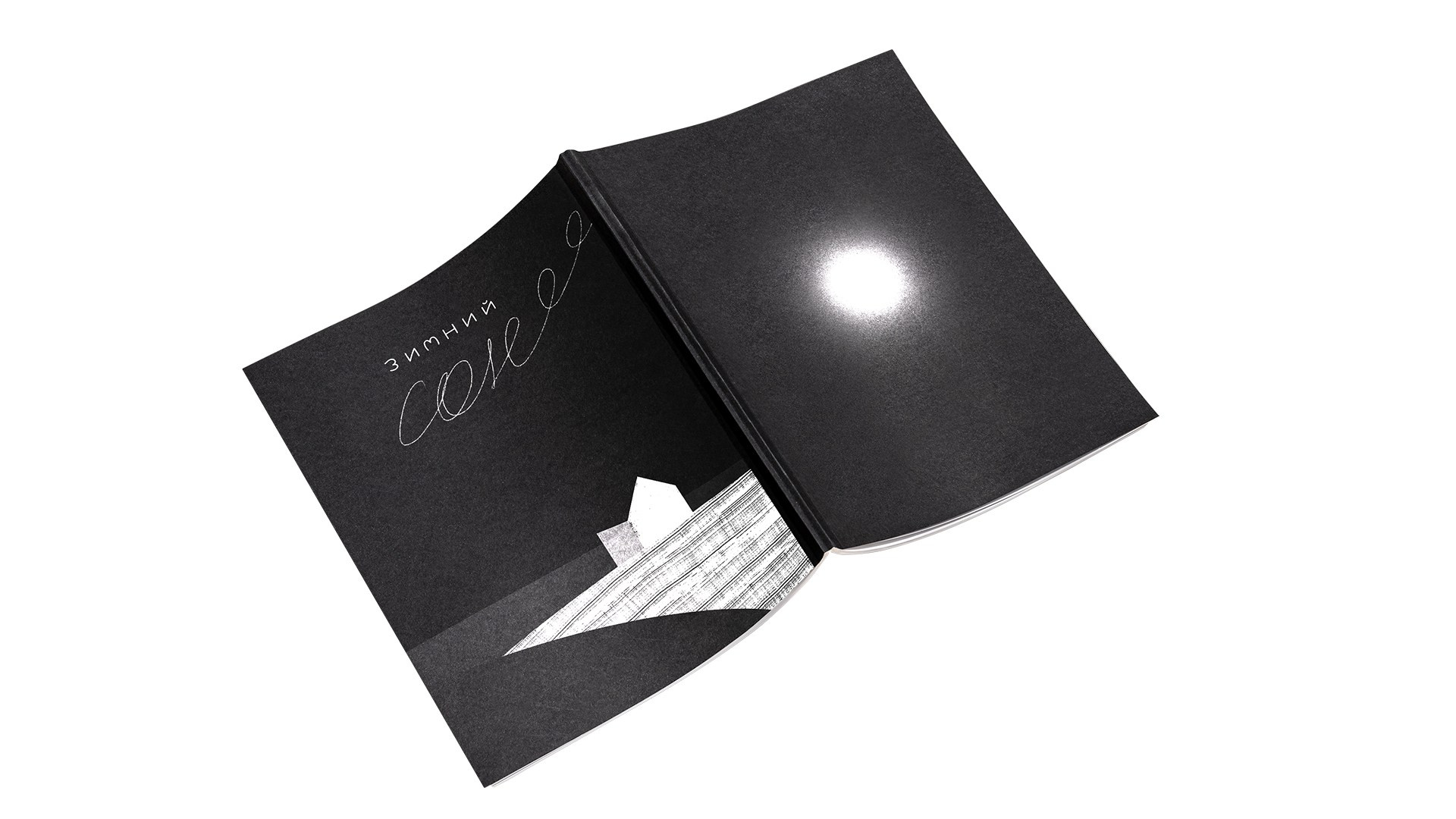 Winter Dream Book. Portfolio Birdcrush