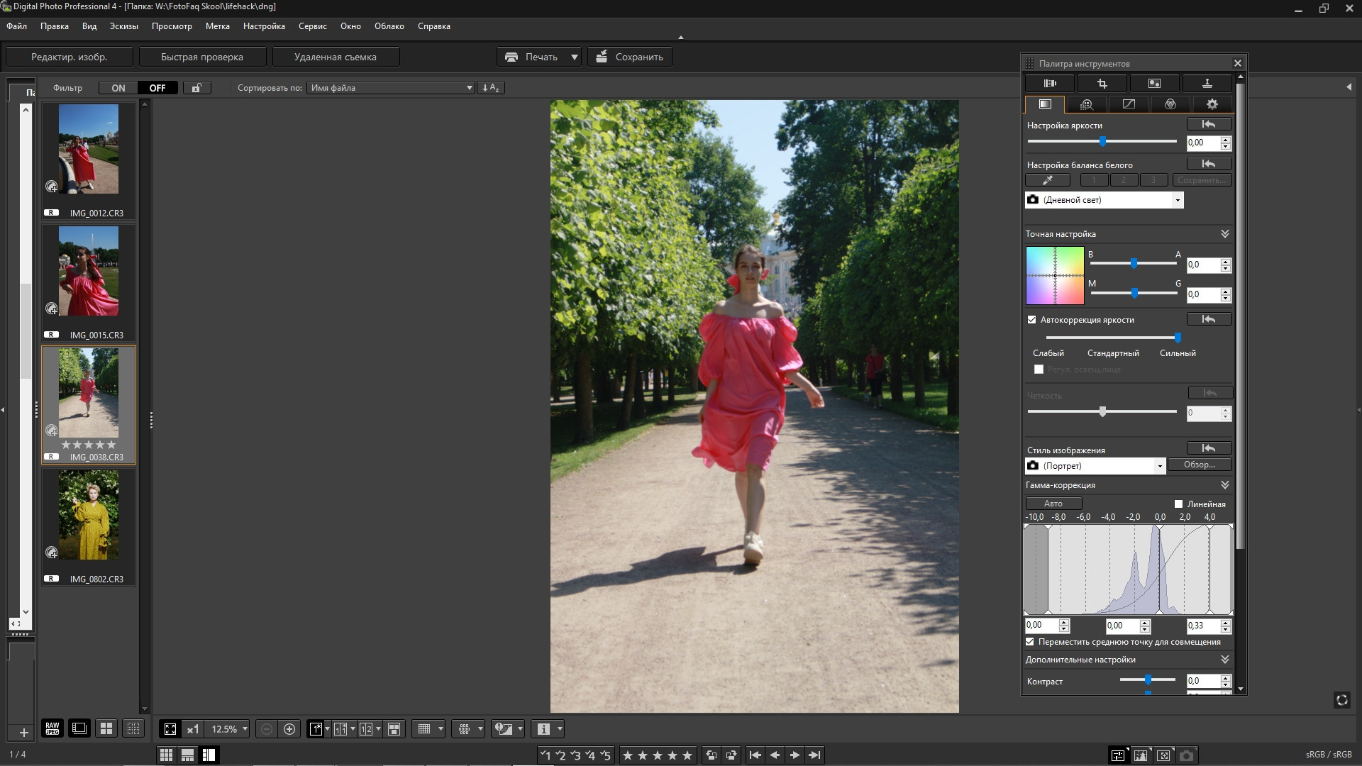 Как отрыть cr3 с камеры Canon M50 Mark II. FOTOFAQ SKOOL г. Санкт-Петербург: очные, дистанционные и онлайн курсы фотографии