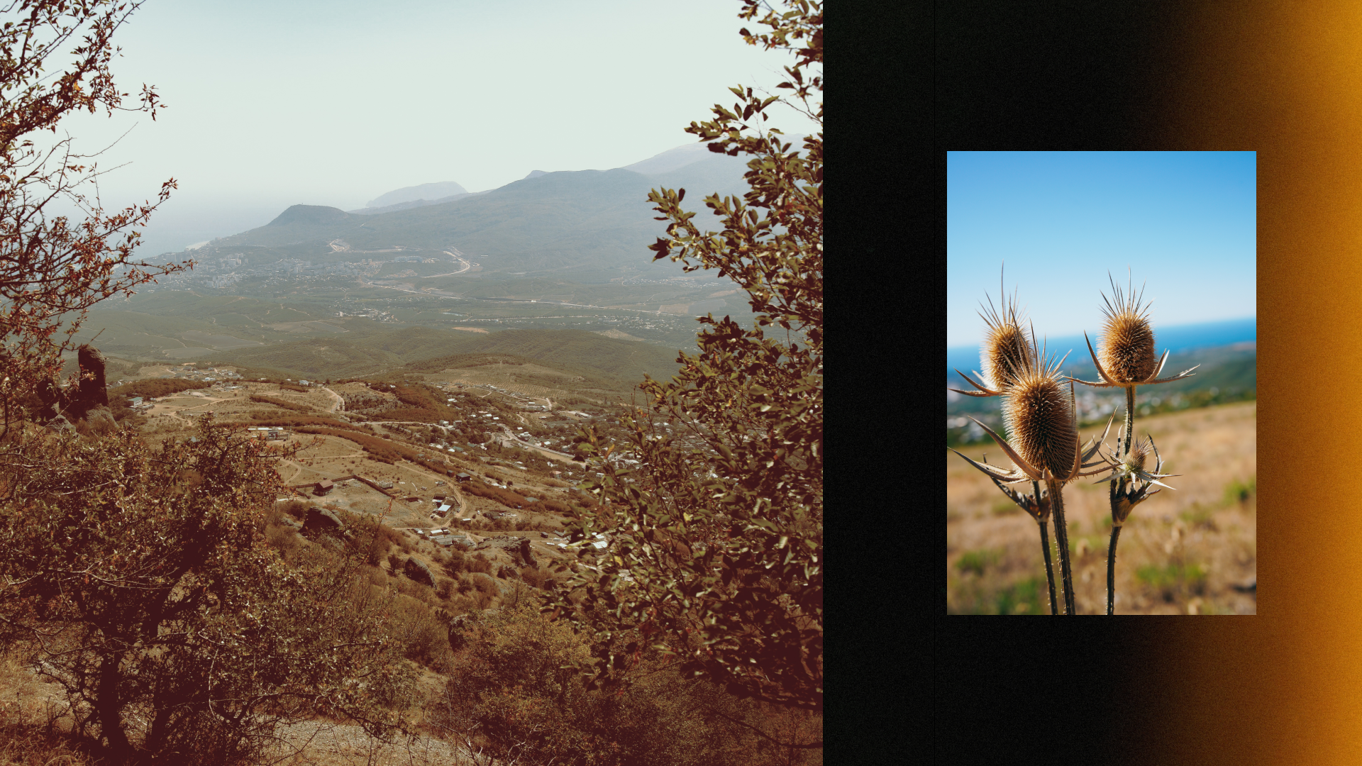 Крым 2025: Глава первая. Фотограф из Москвы — DASHA NOVA | Авторская фотография в разных жанрах