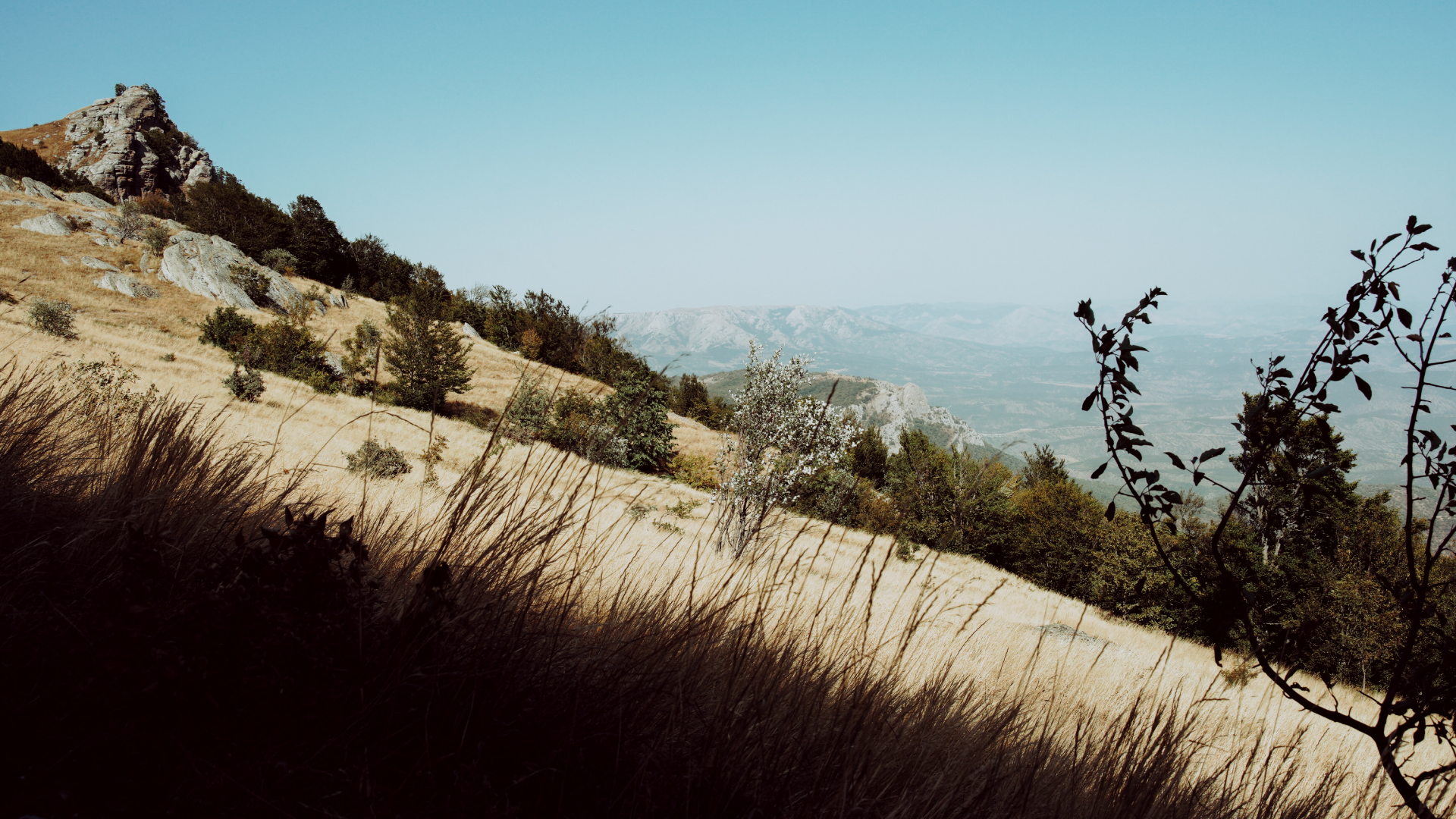 Крым 2025: Глава первая. Фотограф из Москвы — DASHA NOVA | Авторская фотография в разных жанрах