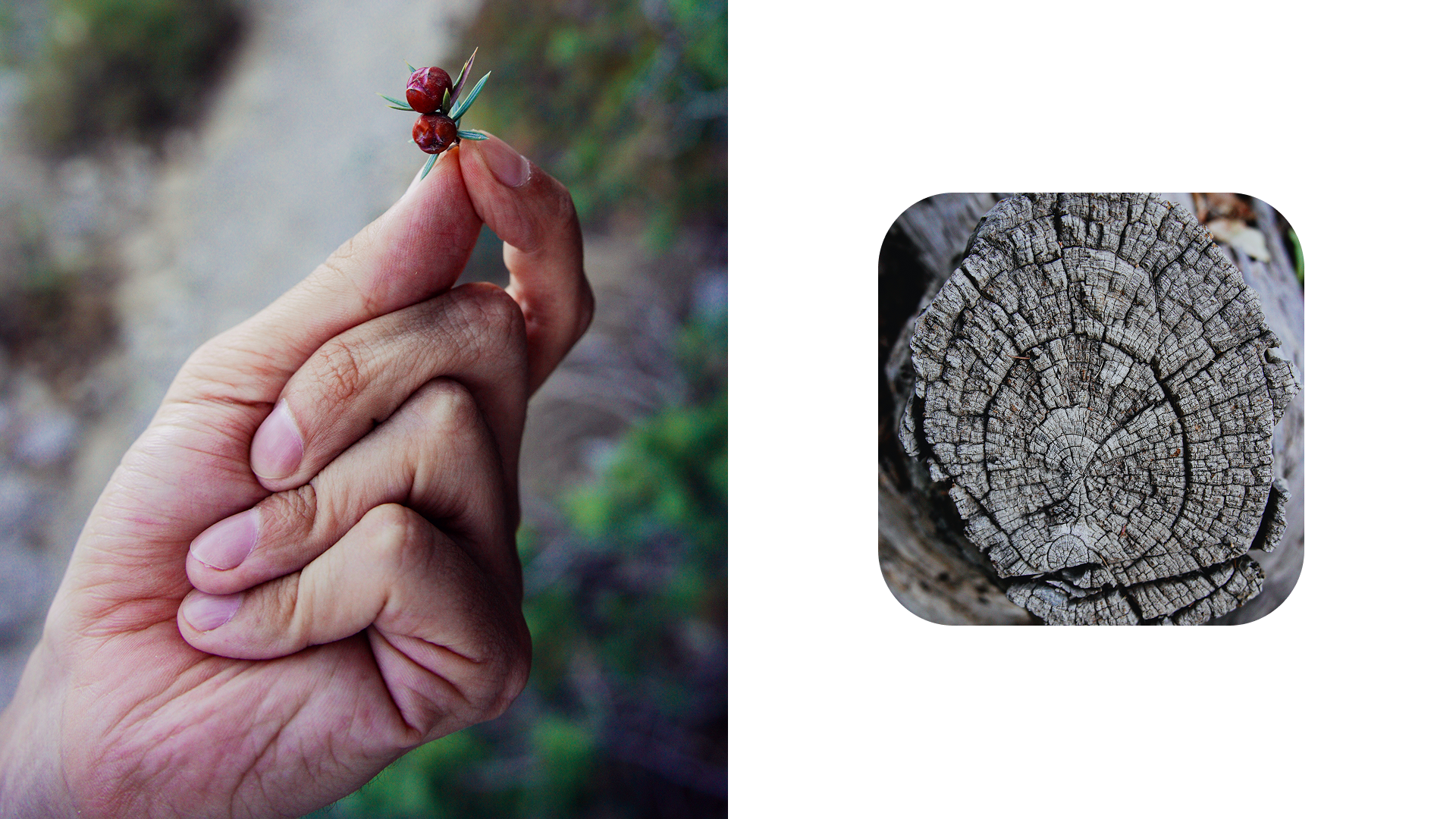 Крым 2025: Глава вторая. Фотограф из Москвы — DASHA NOVA | Авторская фотография в разных жанрах