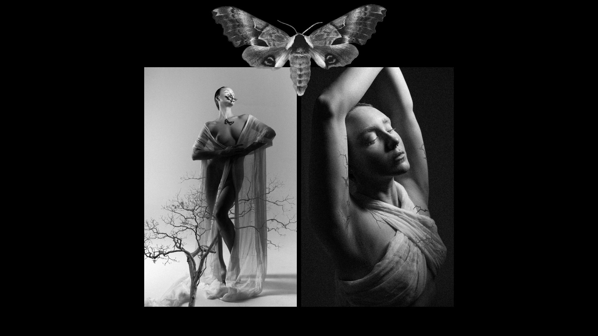 Бабочка. Фотограф из Москвы — DASHA NOVA | Авторская фотография в разных жанрах