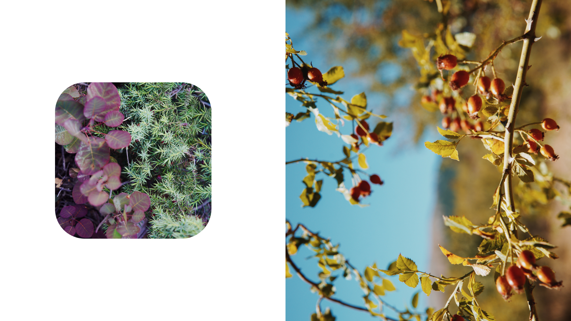 Крым 2025: Глава вторая. Фотограф из Москвы — DASHA NOVA | Авторская фотография в разных жанрах