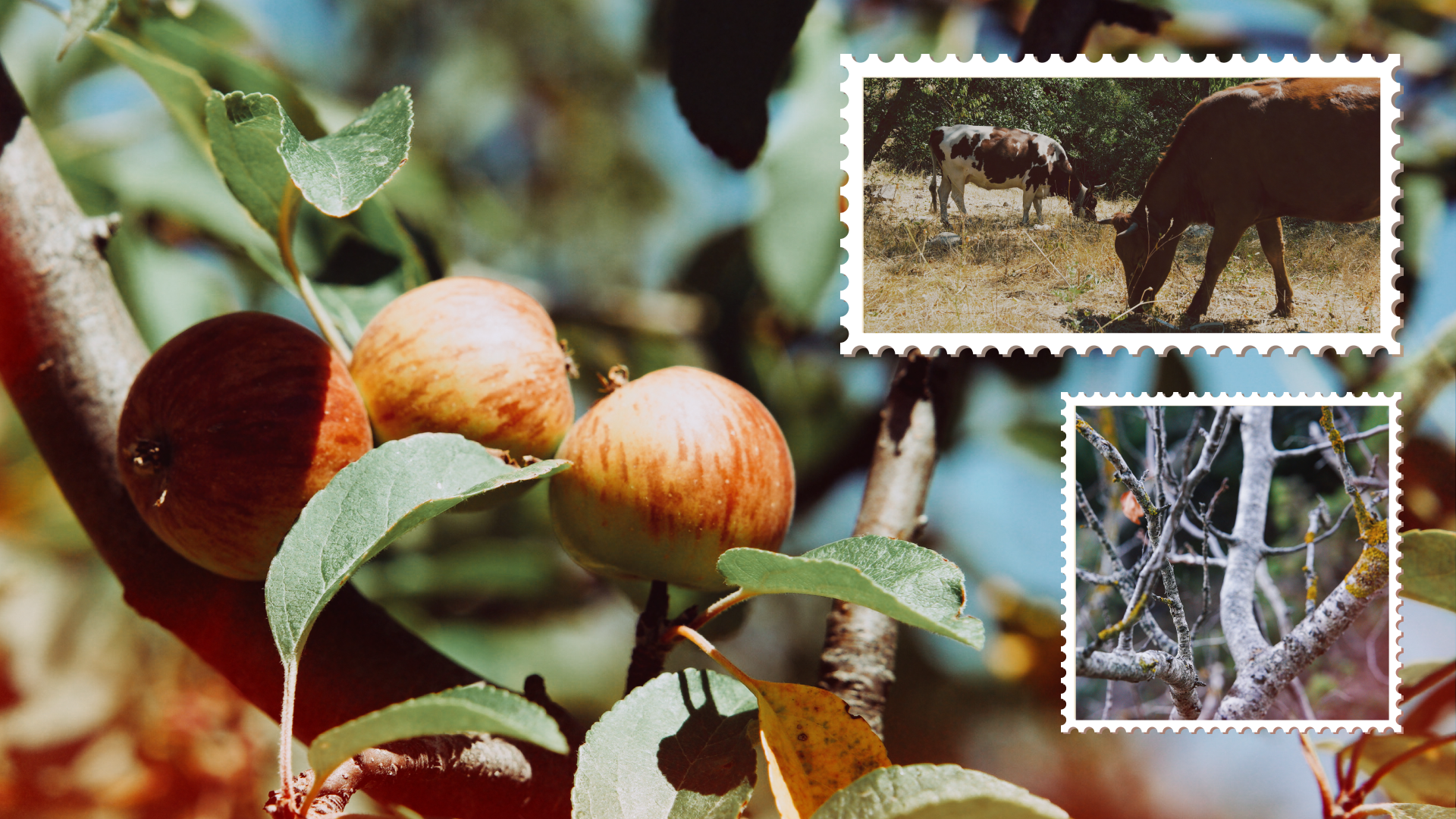 Крым 2025: Глава первая. Фотограф из Москвы — DASHA NOVA | Авторская фотография в разных жанрах