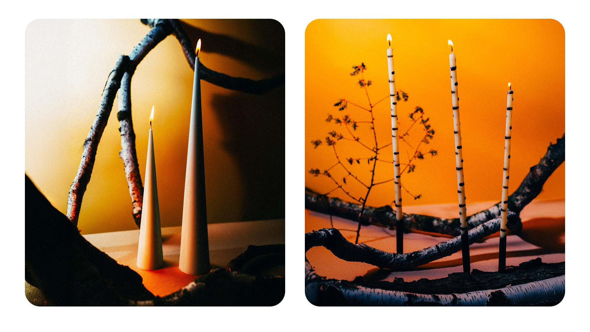 Home.Forma. Фотограф из Москвы — DASHA NOVA | Авторская фотография в разных жанрах