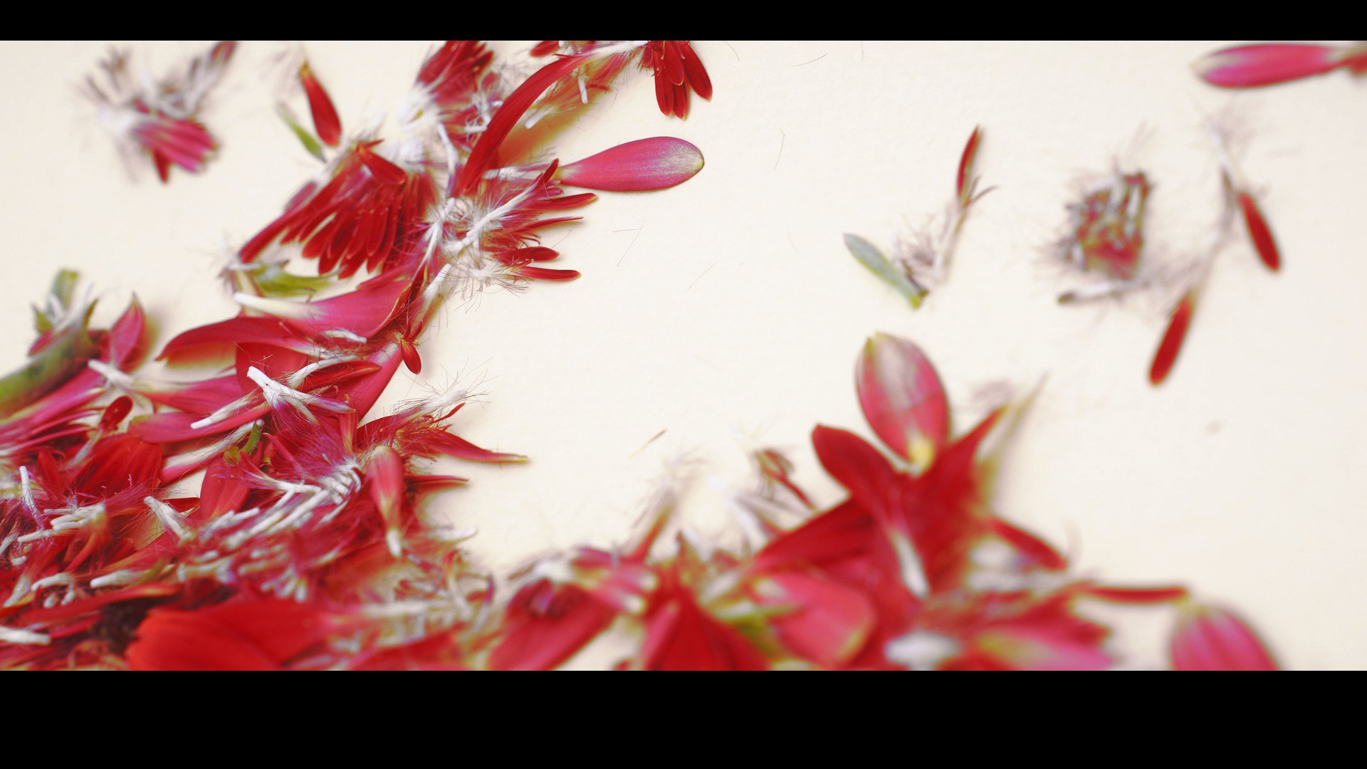 Этапы жизни. Фотограф из Москвы — DASHA NOVA | Авторская фотография в разных жанрах