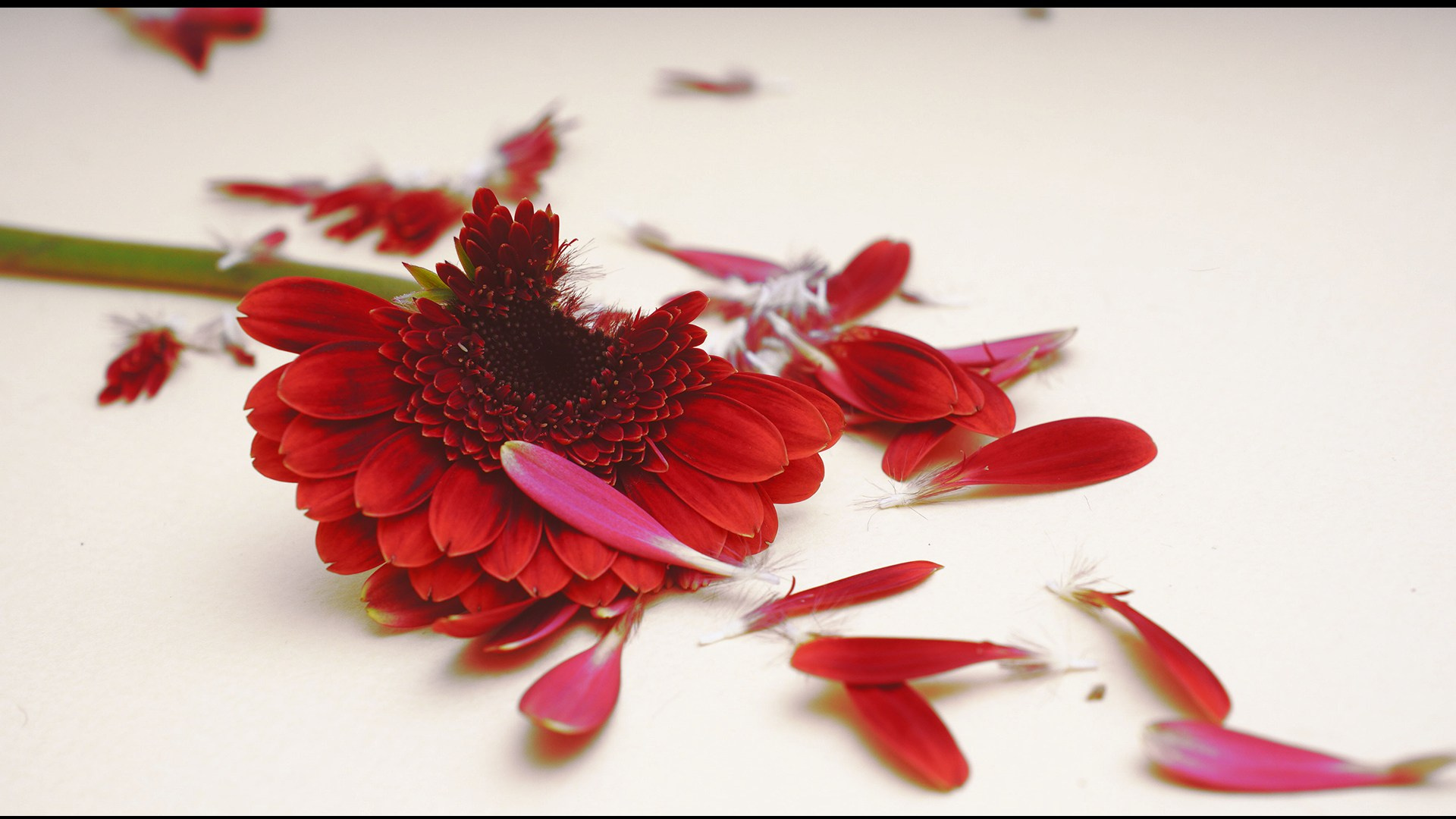 Этапы жизни. Фотограф из Москвы — DASHA NOVA | Авторская фотография в разных жанрах