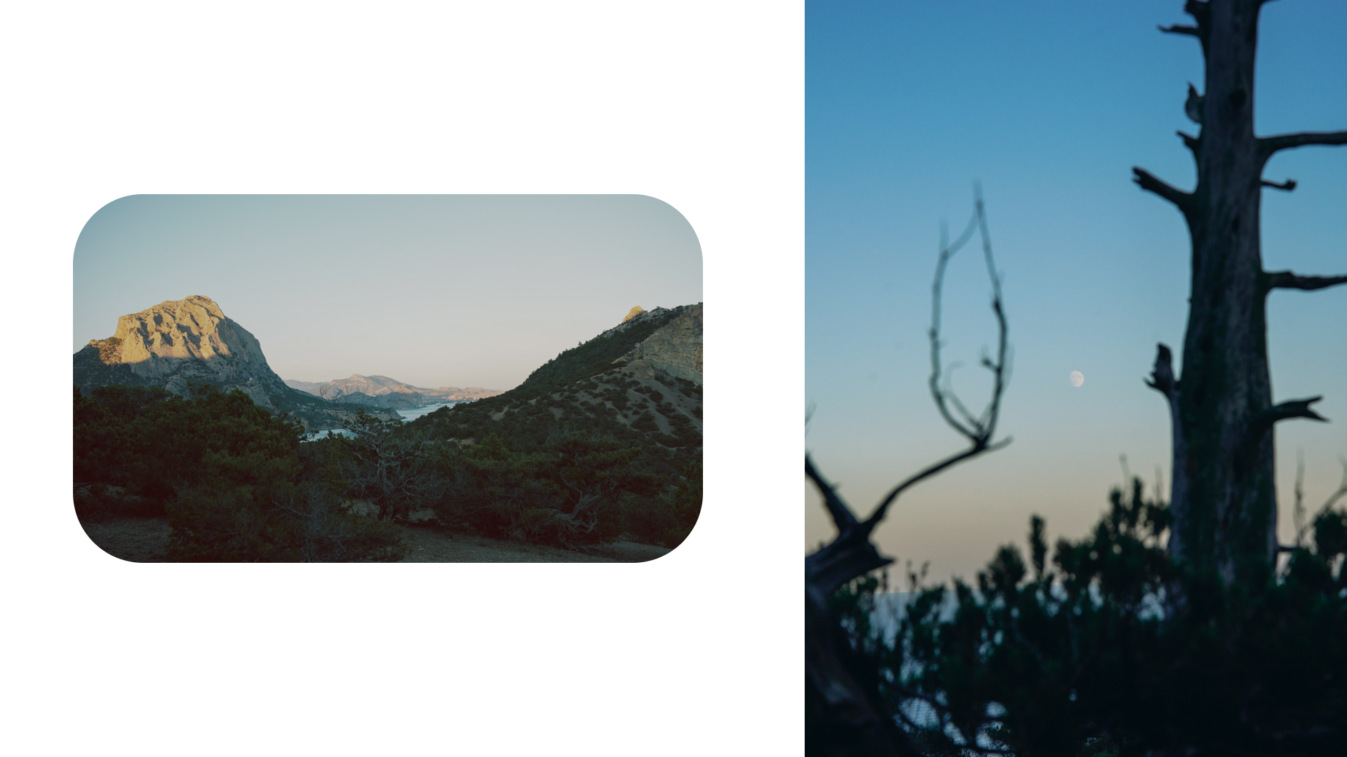 Крым 2025: Глава вторая. Фотограф из Москвы — DASHA NOVA | Авторская фотография в разных жанрах