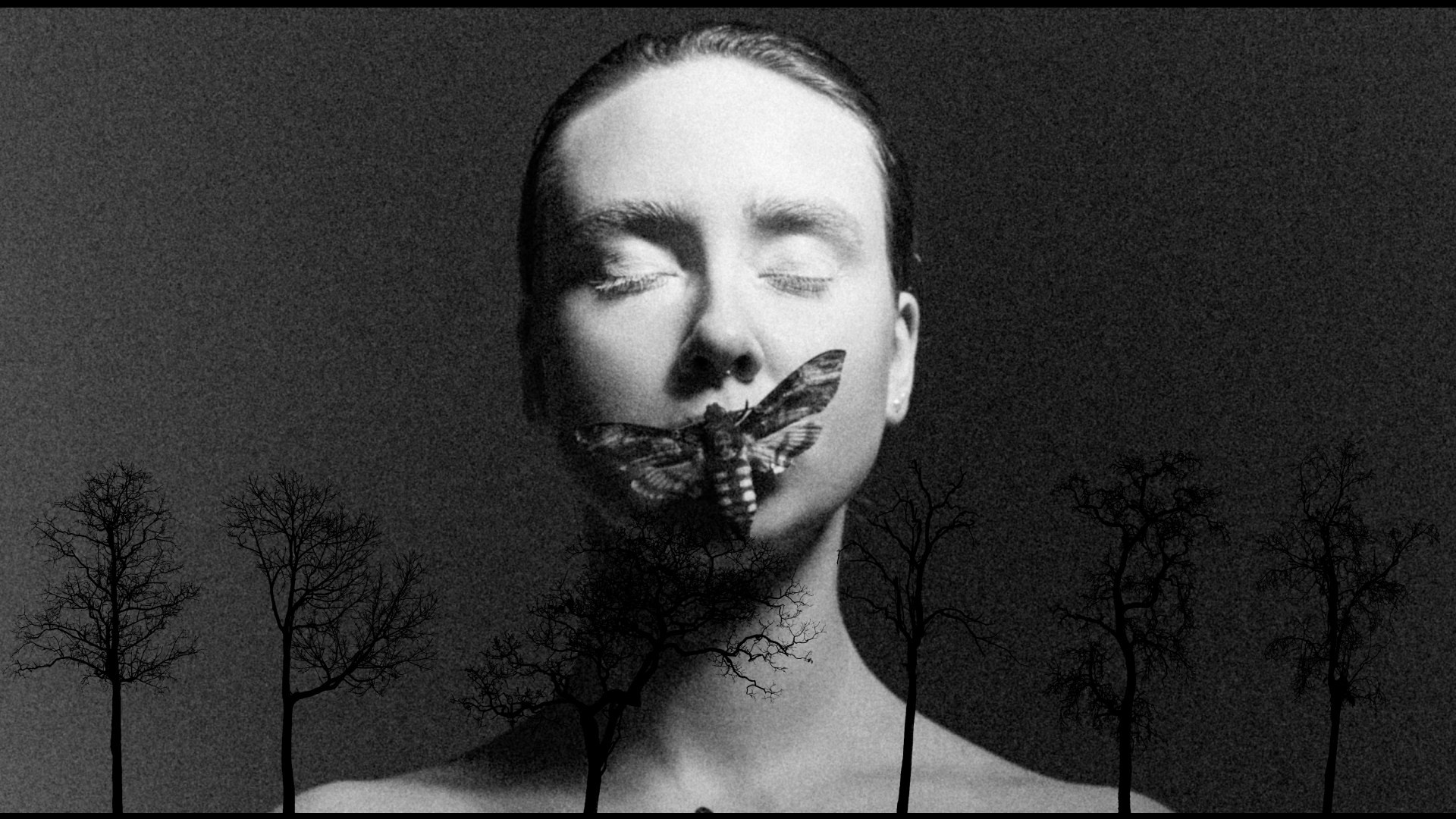 Бабочка. Фотограф из Москвы — DASHA NOVA | Авторская фотография в разных жанрах