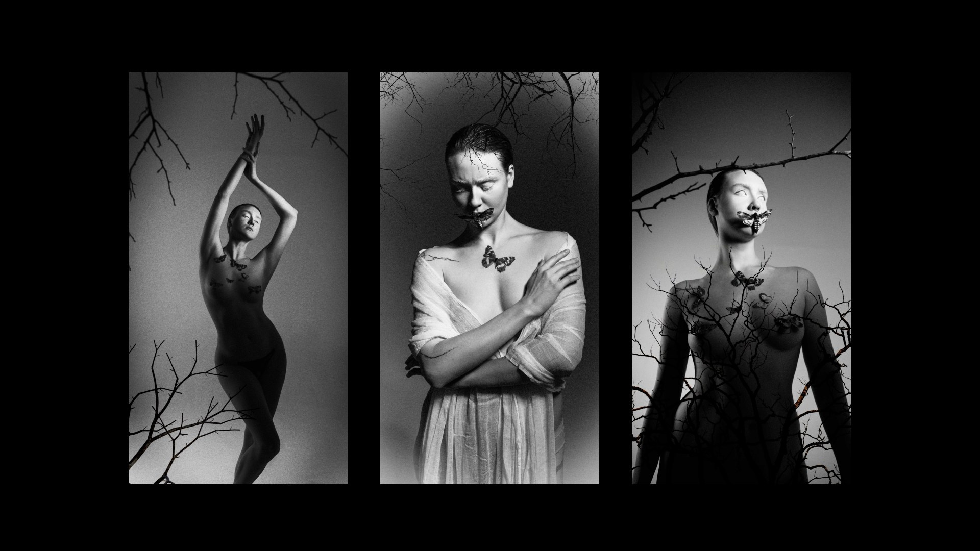 Бабочка. Фотограф из Москвы — DASHA NOVA | Авторская фотография в разных жанрах