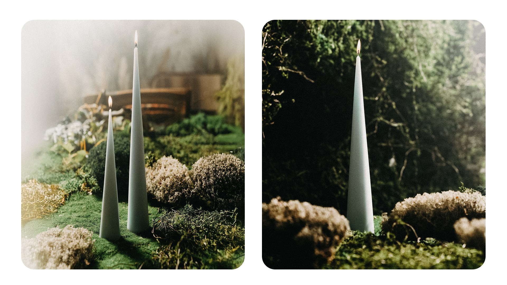 Home.Forma. Фотограф из Москвы — DASHA NOVA | Авторская фотография в разных жанрах