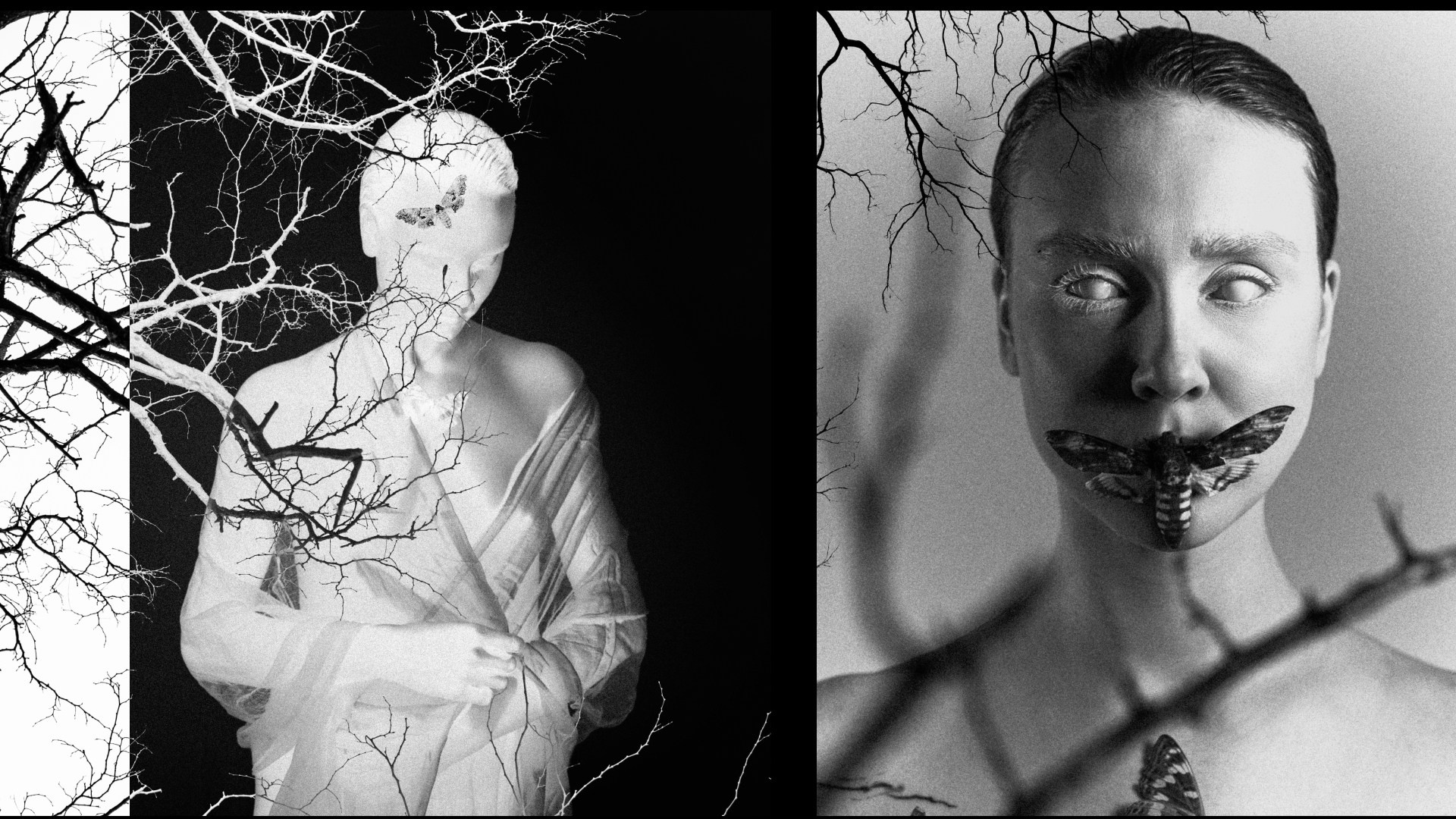 Бабочка. Фотограф из Москвы — DASHA NOVA | Авторская фотография в разных жанрах