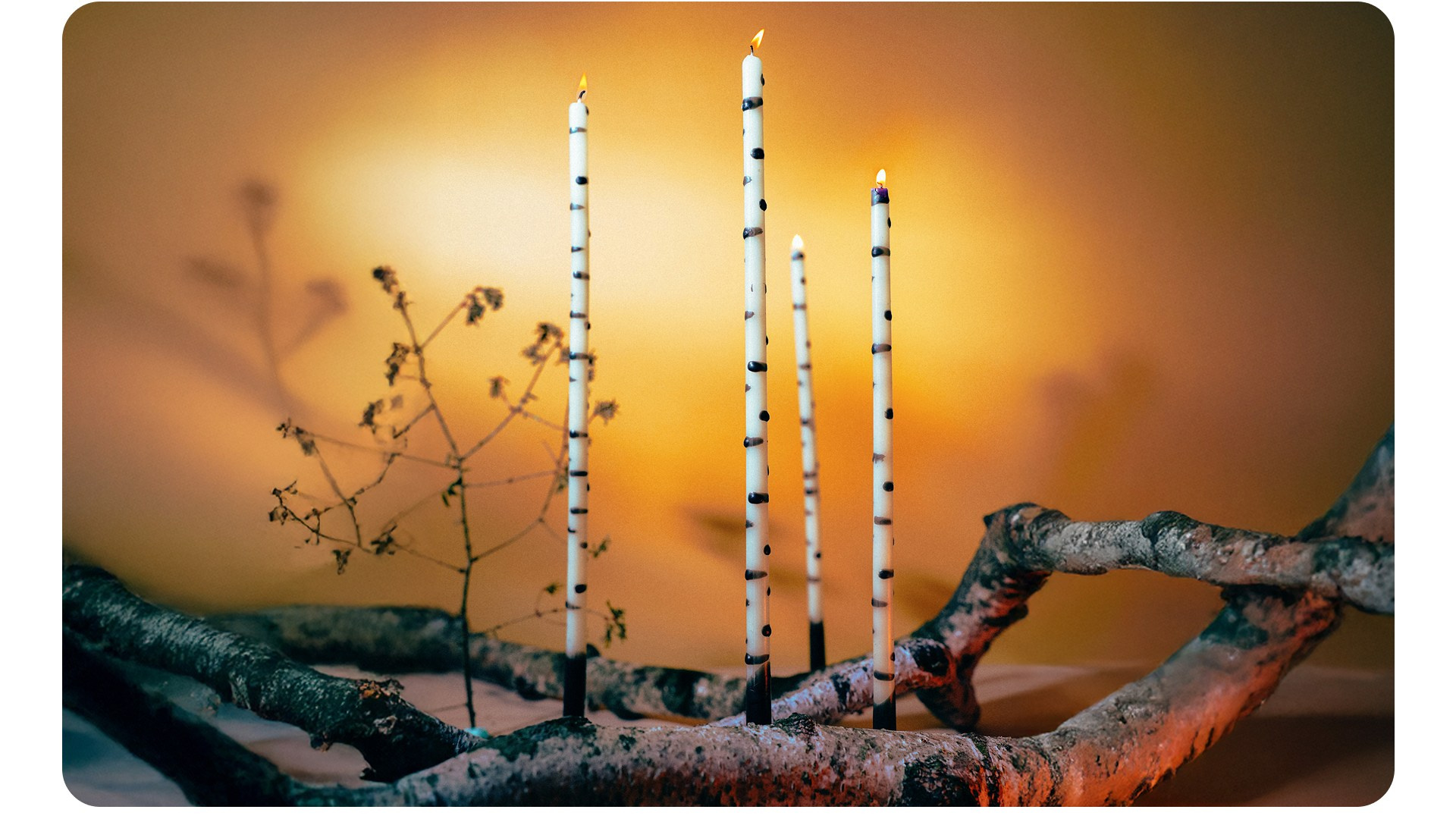 Home.Forma. Фотограф из Москвы — DASHA NOVA | Авторская фотография в разных жанрах